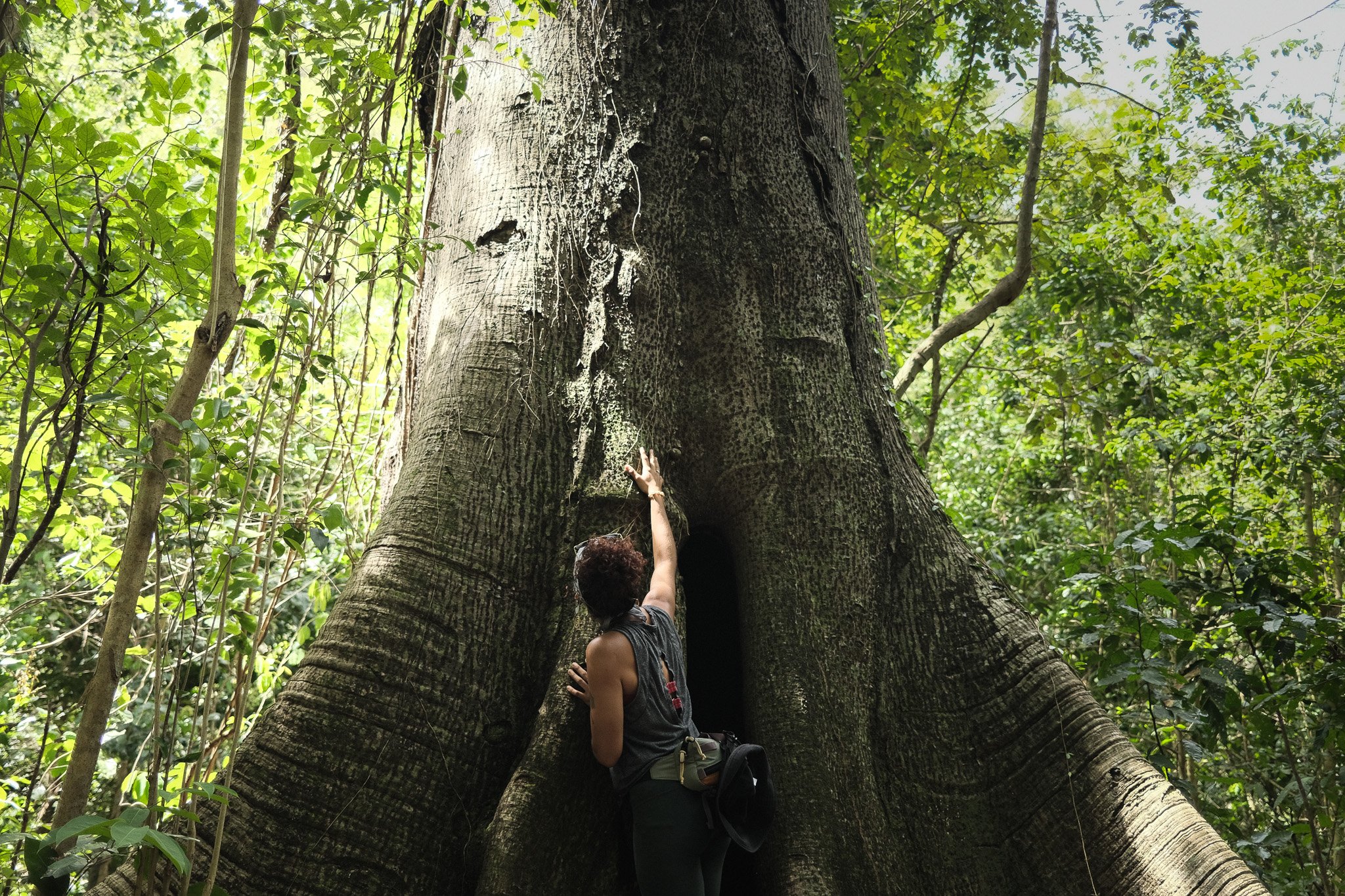 Recorrido Interpretado