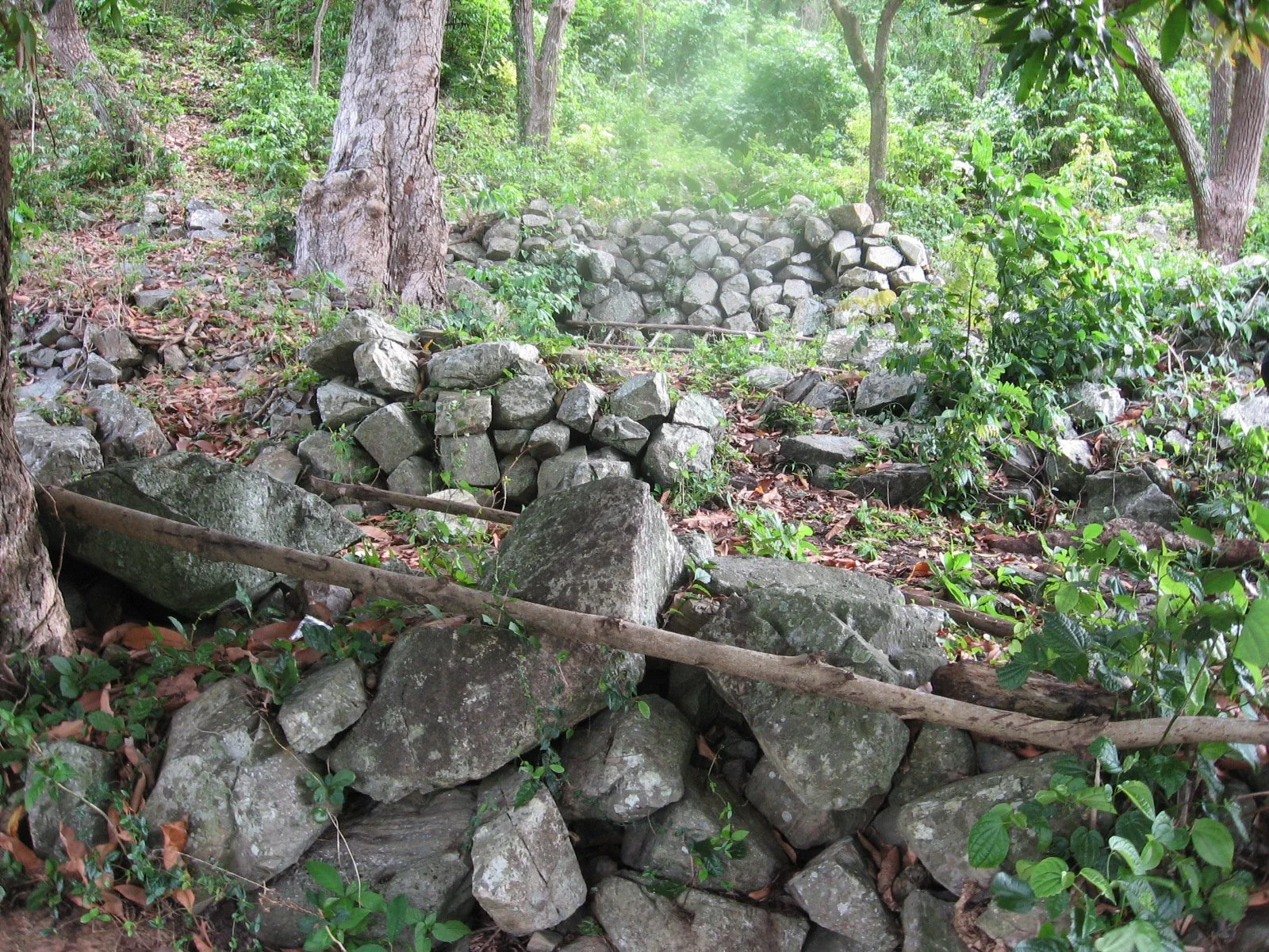 Caminos, terrazas y memoria campesina en Planadas