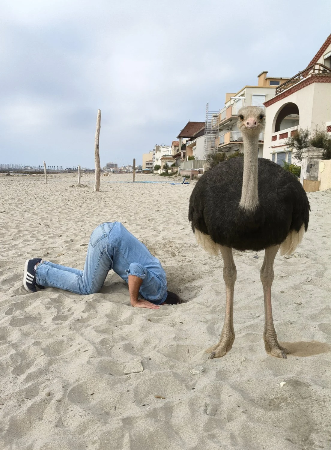 Faire l’Autruche.jpg