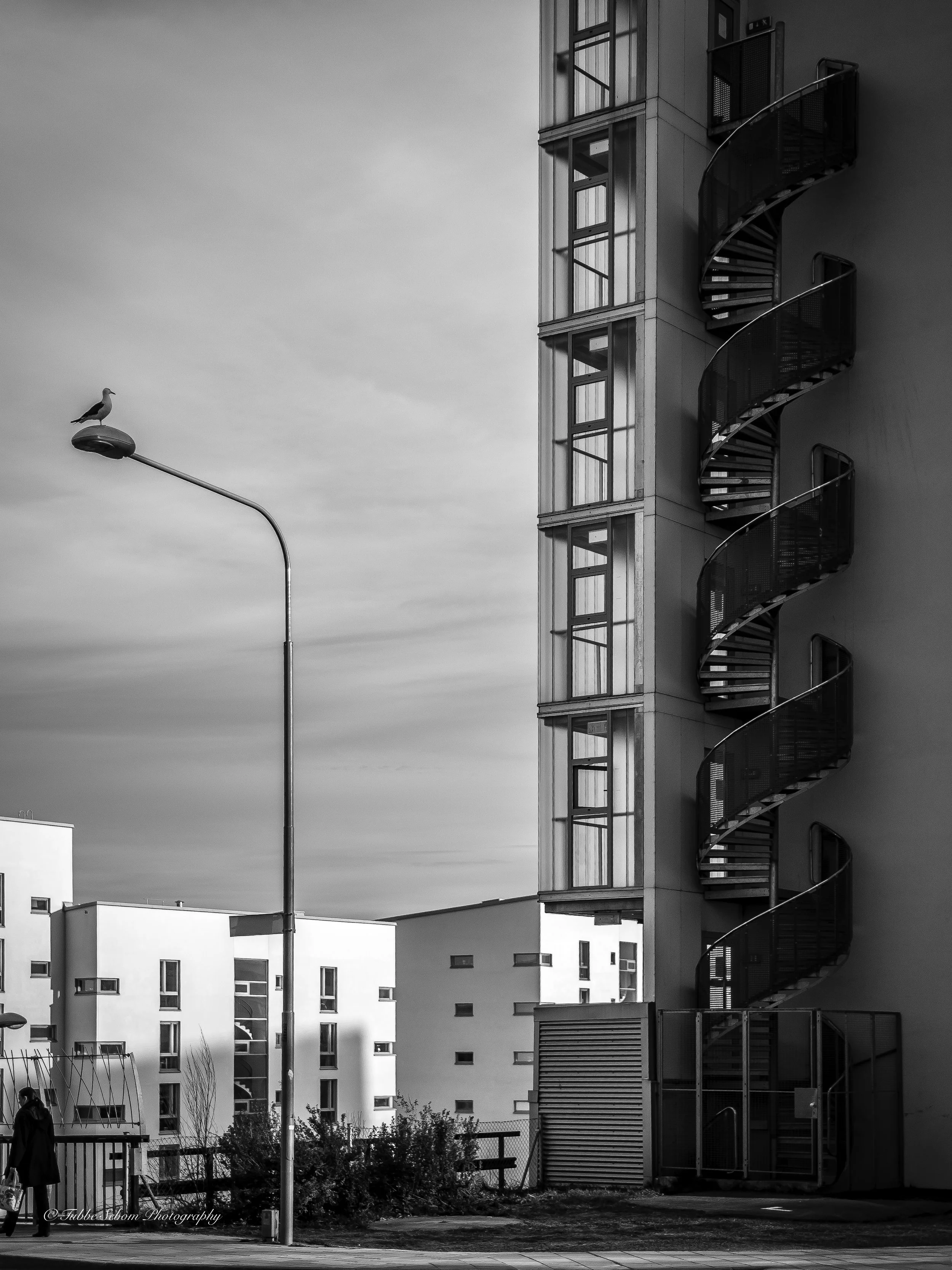 DSCF0244-HDR.jpg