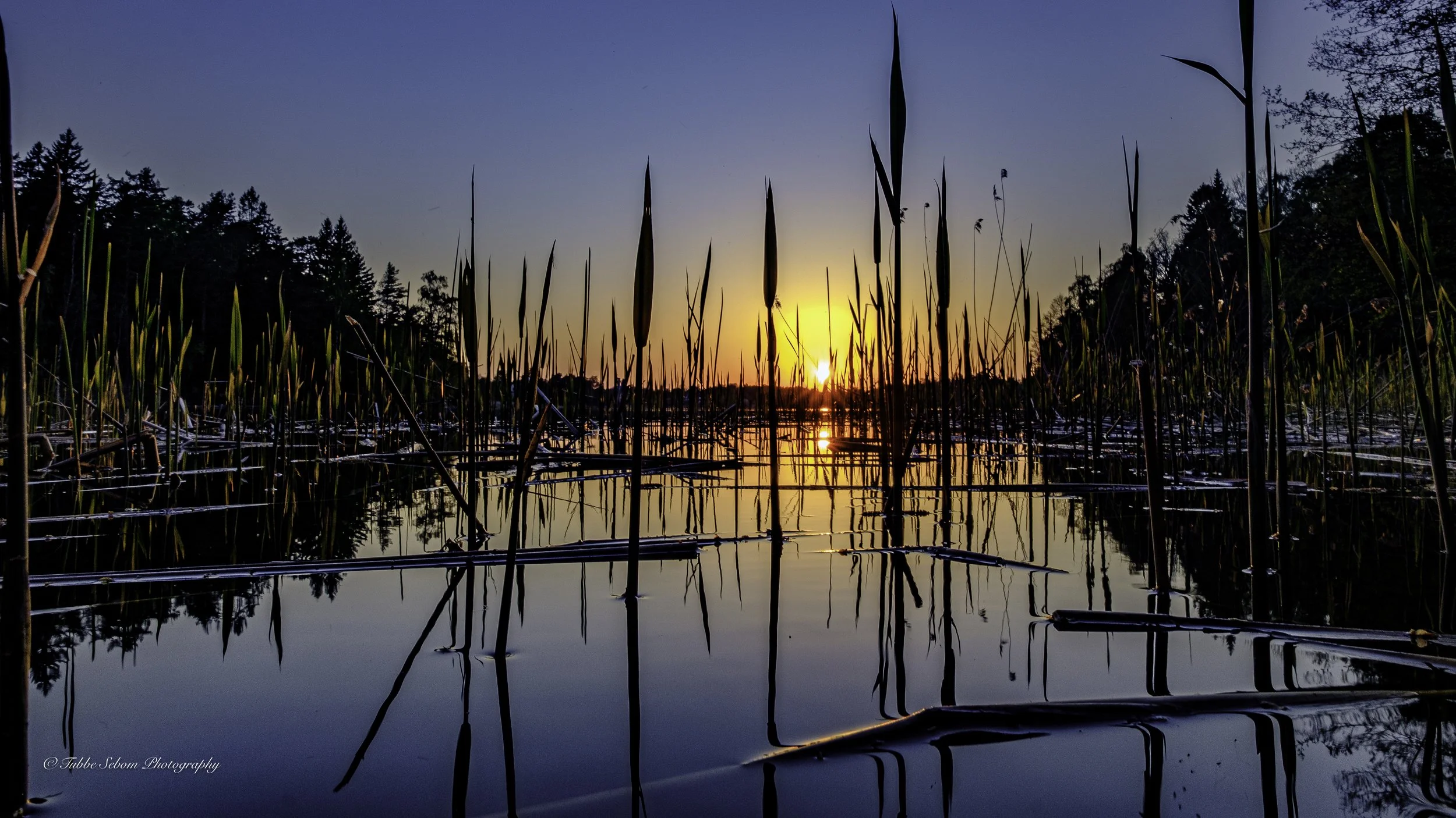 DSCF1532.jpg