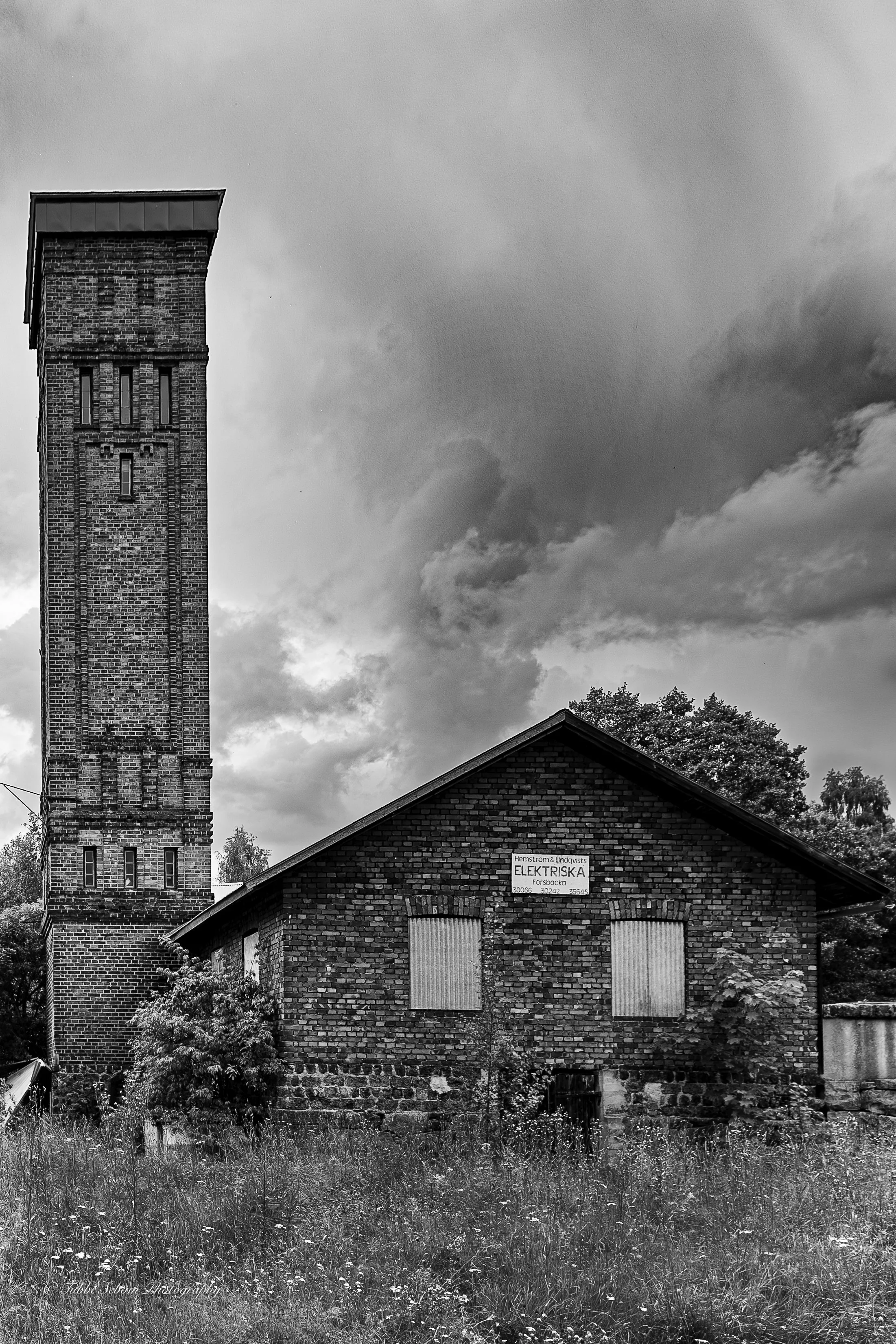 DSC_3790-2-Förbättrat-BR.jpg