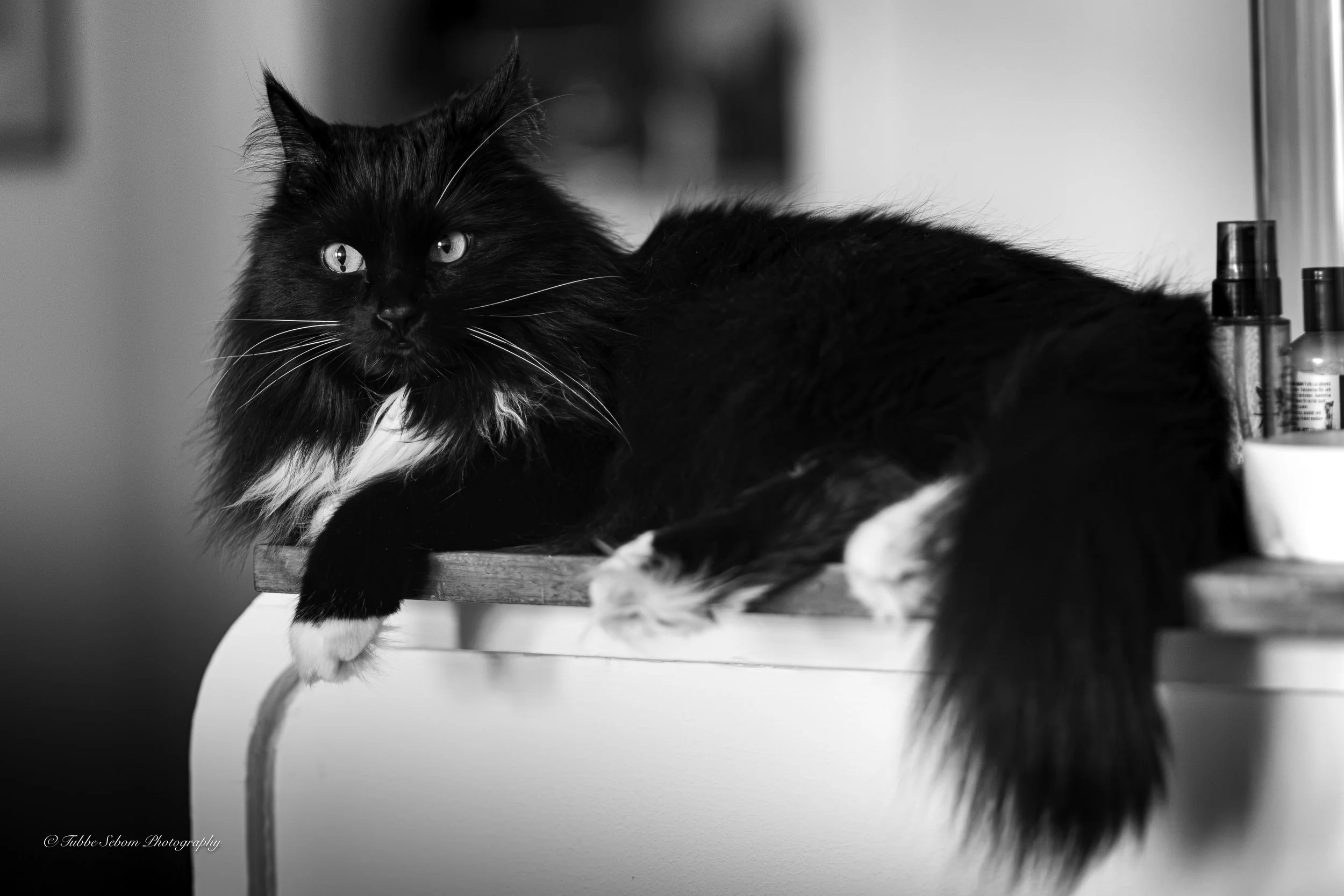 DSC_0047.jpg
