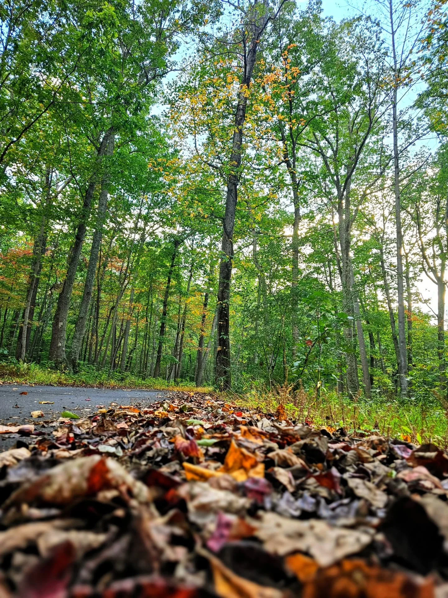 Inner healing begins the moment we stop trying to arrive somewhere else.

Recovery isn&rsquo;t a race toward a better version of ourselves. It&rsquo;s the soft landing back into what&rsquo;s real, right here, right now. 

We release what&rsquo;s read