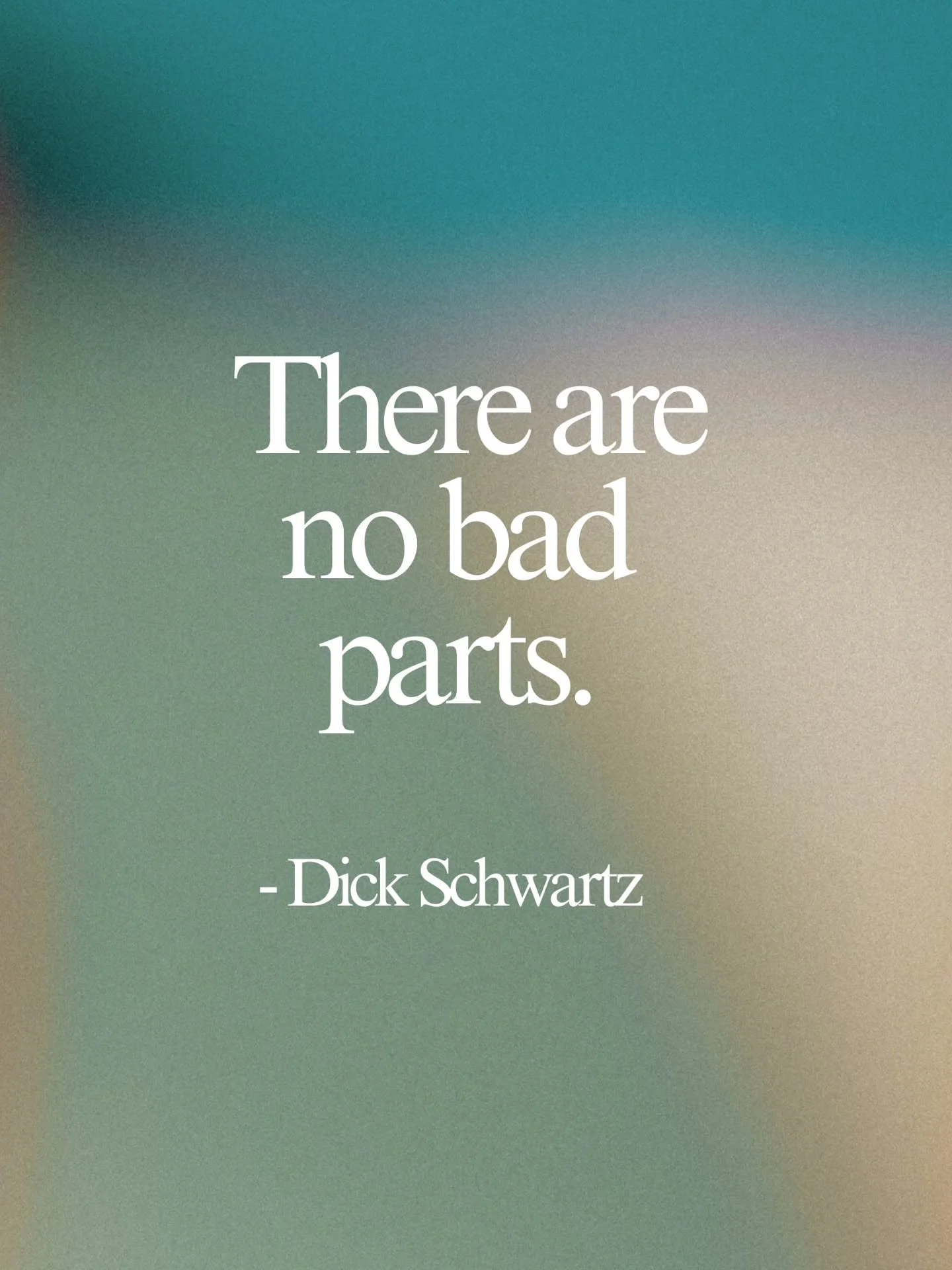 There are no bad parts. This truth changed the way I sit with myself and the way I sit with others. When we welcome what we once pushed away, we create space for connection instead of shame. IFS teaches us that every part holds a story, a purpose, an