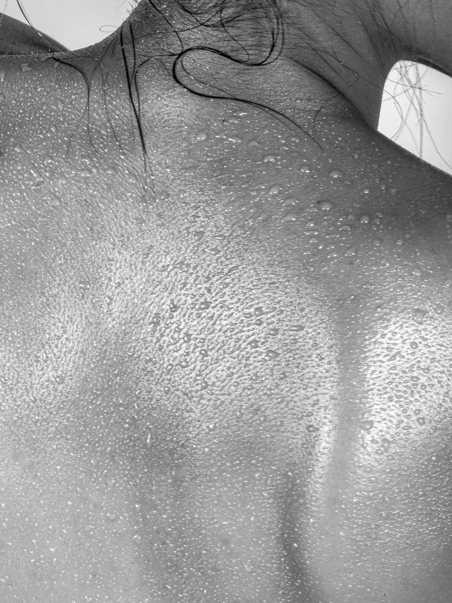 Beneath the skin, a quiet river moves.
A network of lymph carrying the body toward balance.
Unlike the heart, it depends on movement to keep flowing.
This is the rhythm we work to restore.