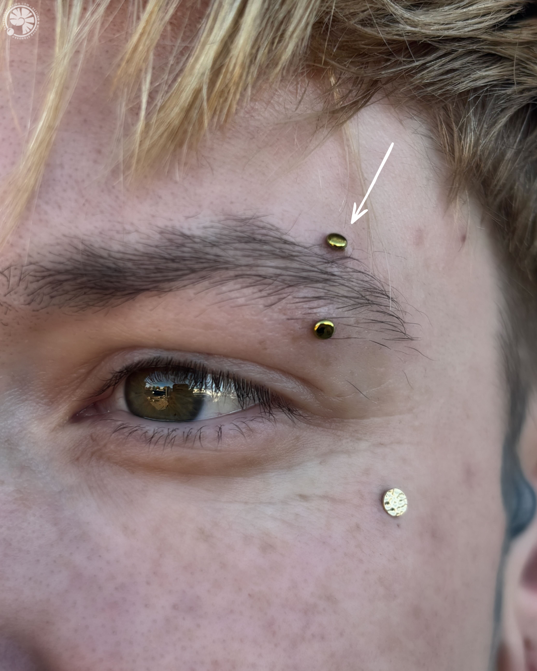 8.png