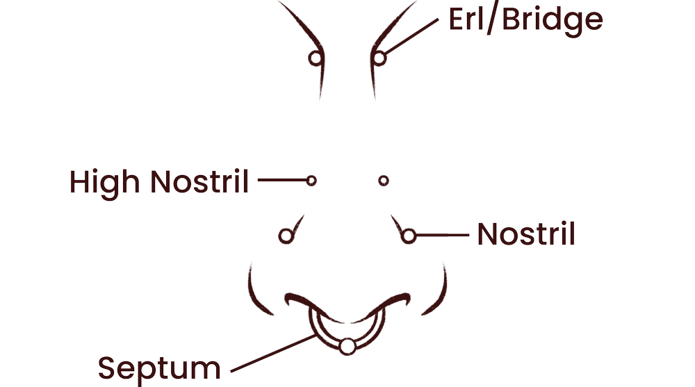 Face Piercing Prices — Evolution Body Piercing