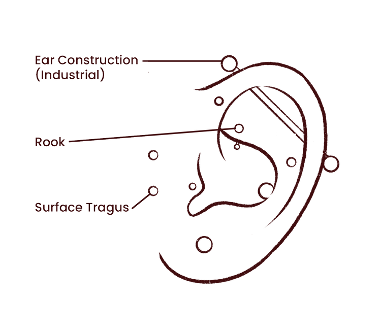 Ear Piercing Prices — Evolution Body Piercing