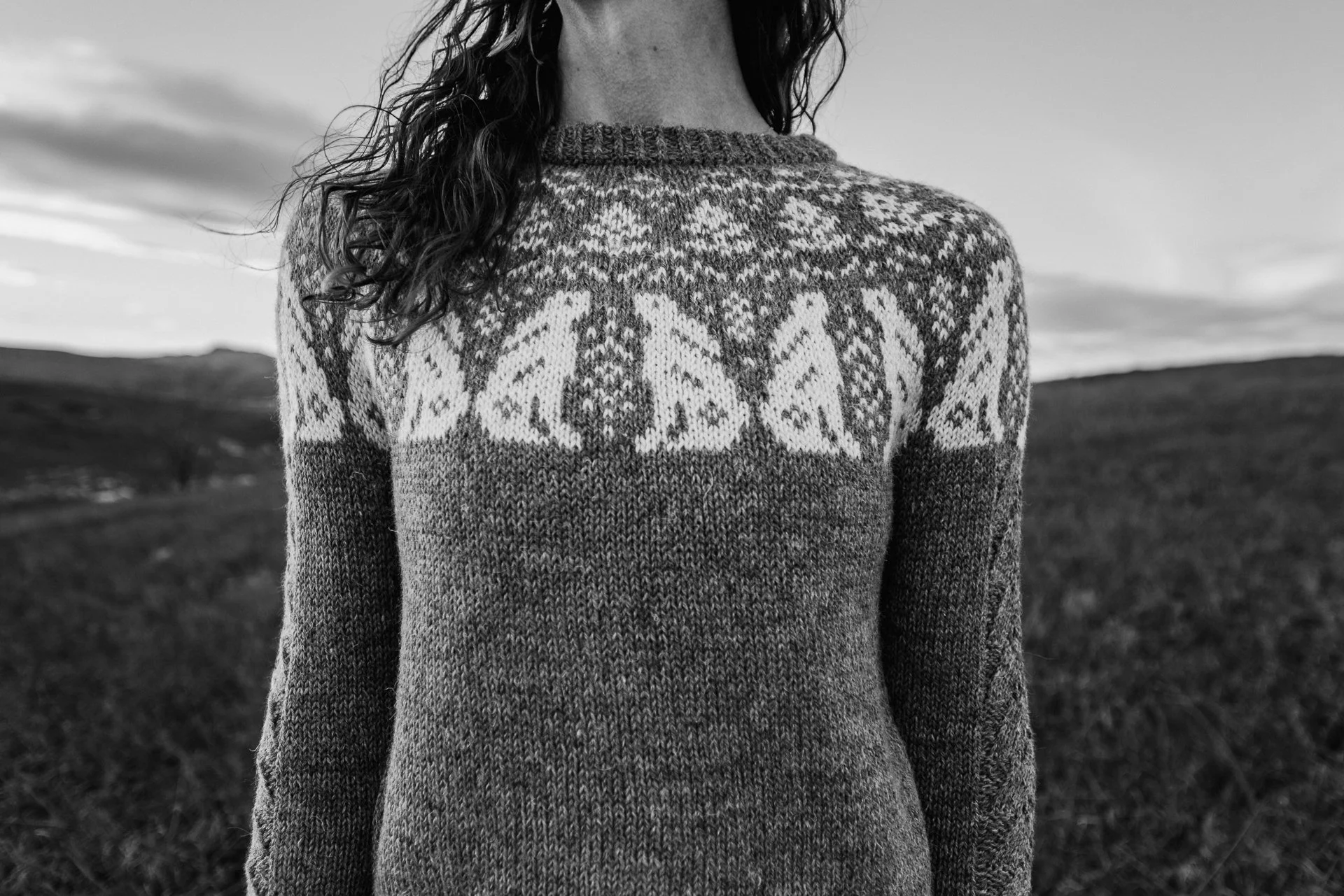 folk-rabbit-sweater-colorwork-yoke-dk-weight.jpg