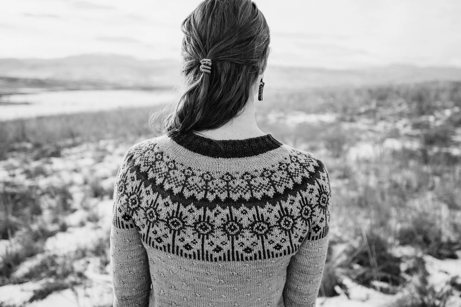 kindred-light-sweater-colorwork-yoke-hand-knit-pullover-back-view.jpg