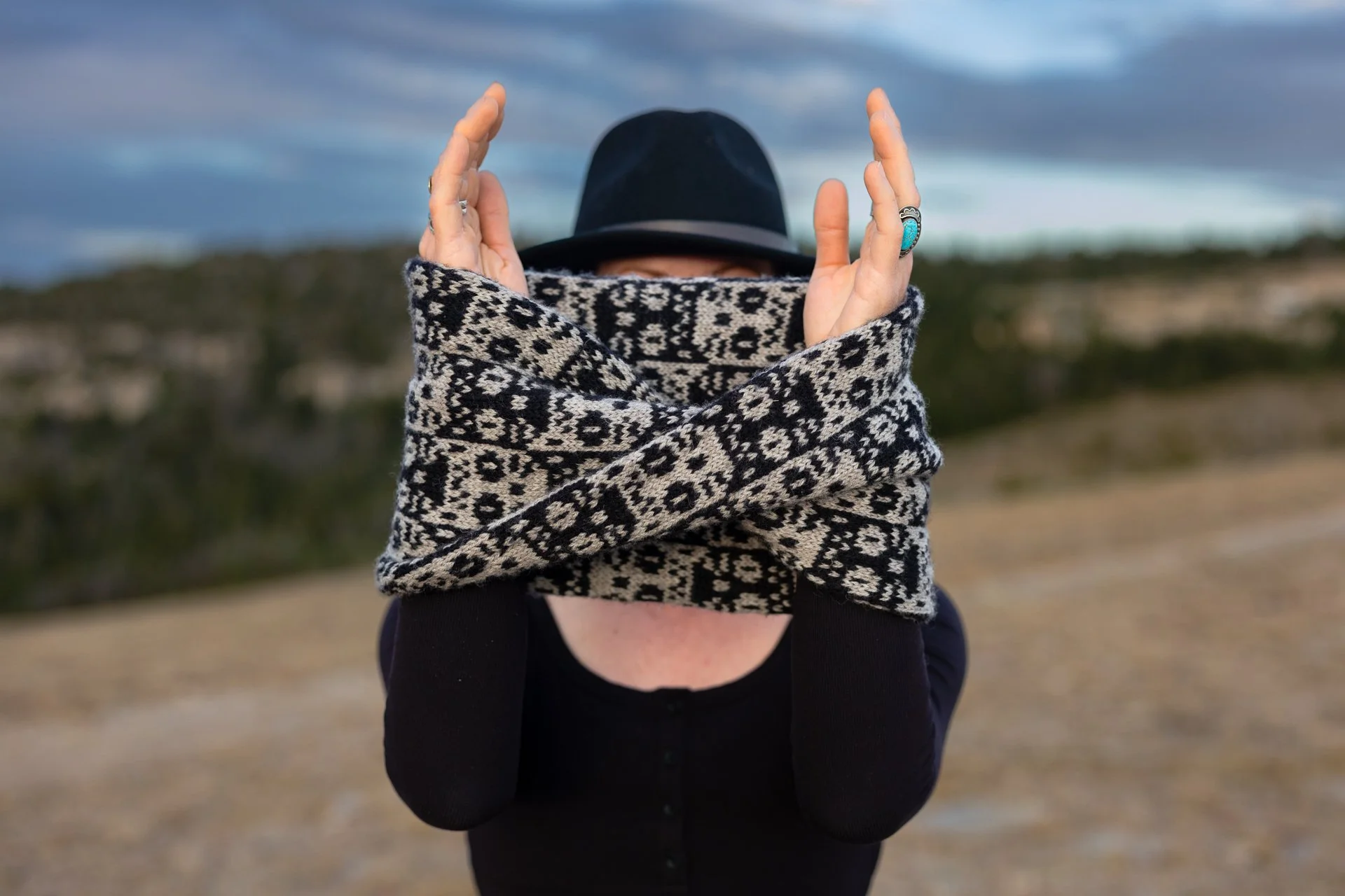 Cat Cowl knitting pattern by Briana Arlene