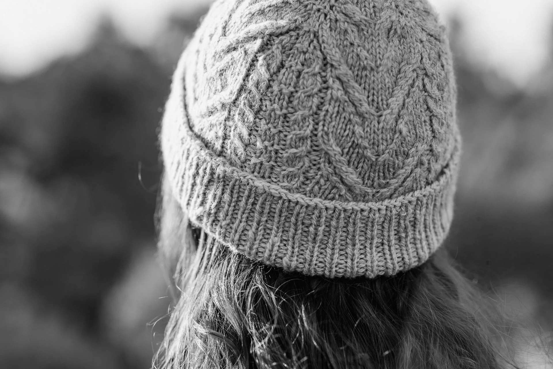 winter-sage-hat-hand-knit-cabled-beanie-textured.jpg
