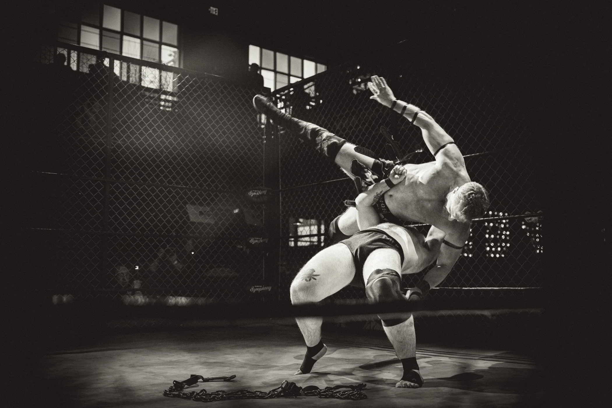 Cage b&w-2.jpg