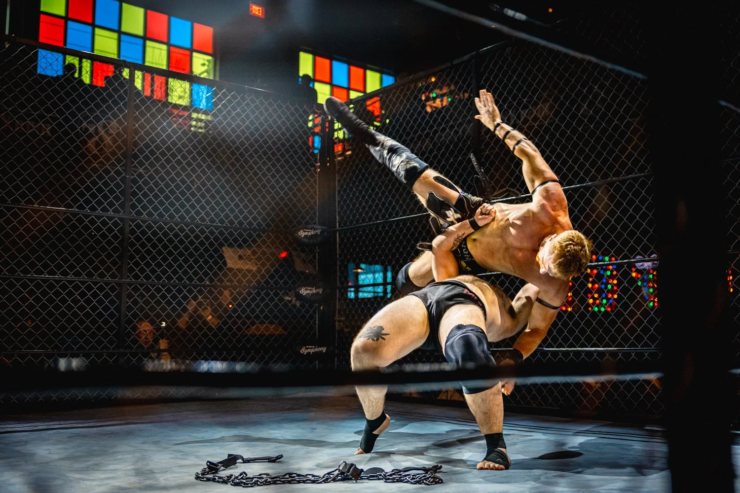 Mercer v Mad Dog Cage-5.jpg