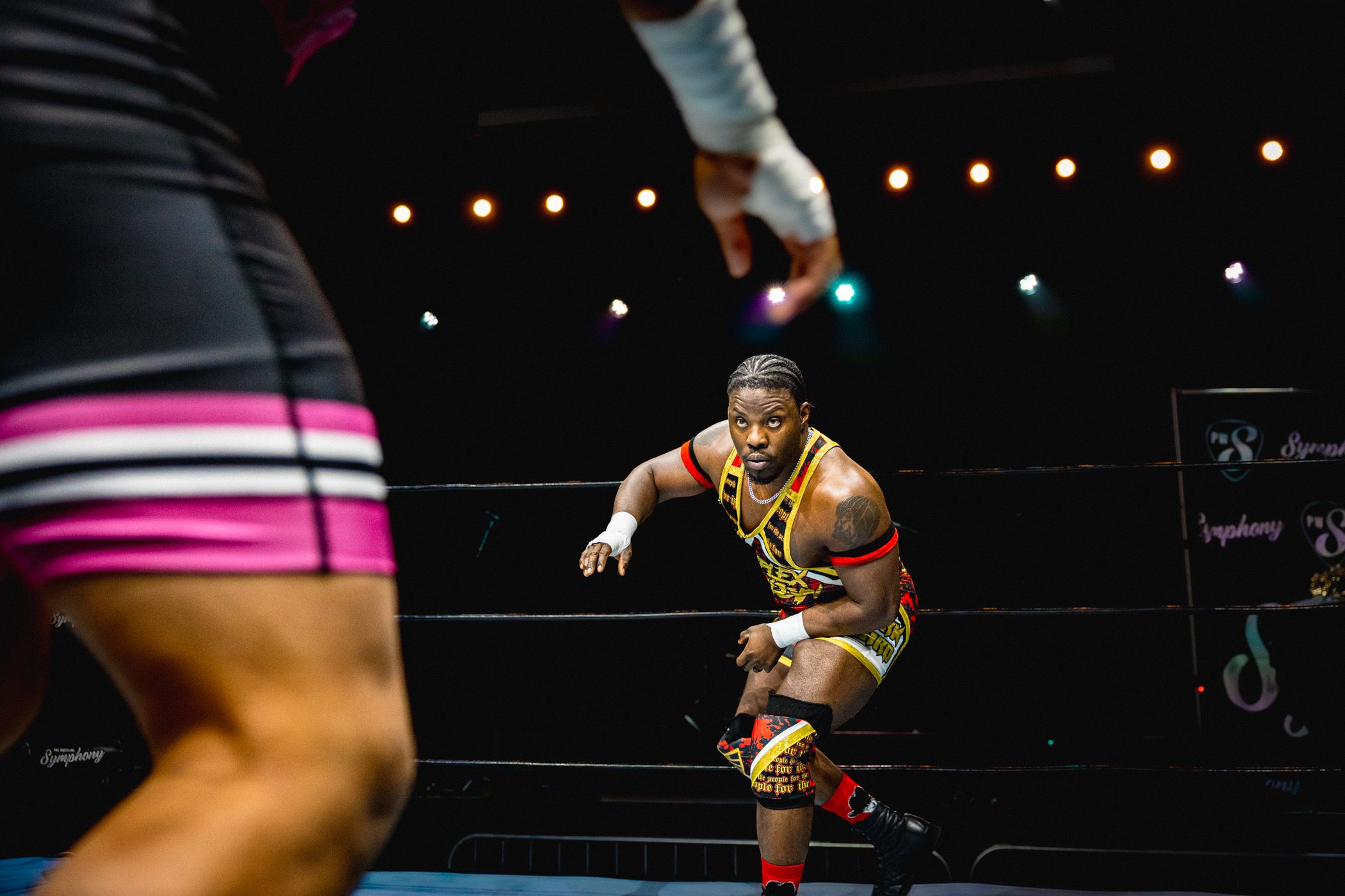 Bosby v Kane-12.jpg