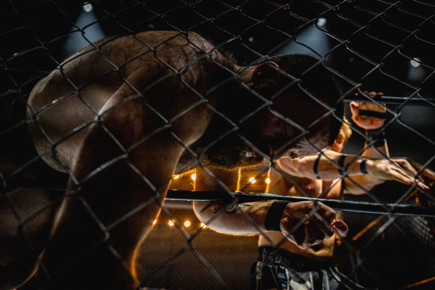 Mercer v Mad Dog Cage-27.jpg