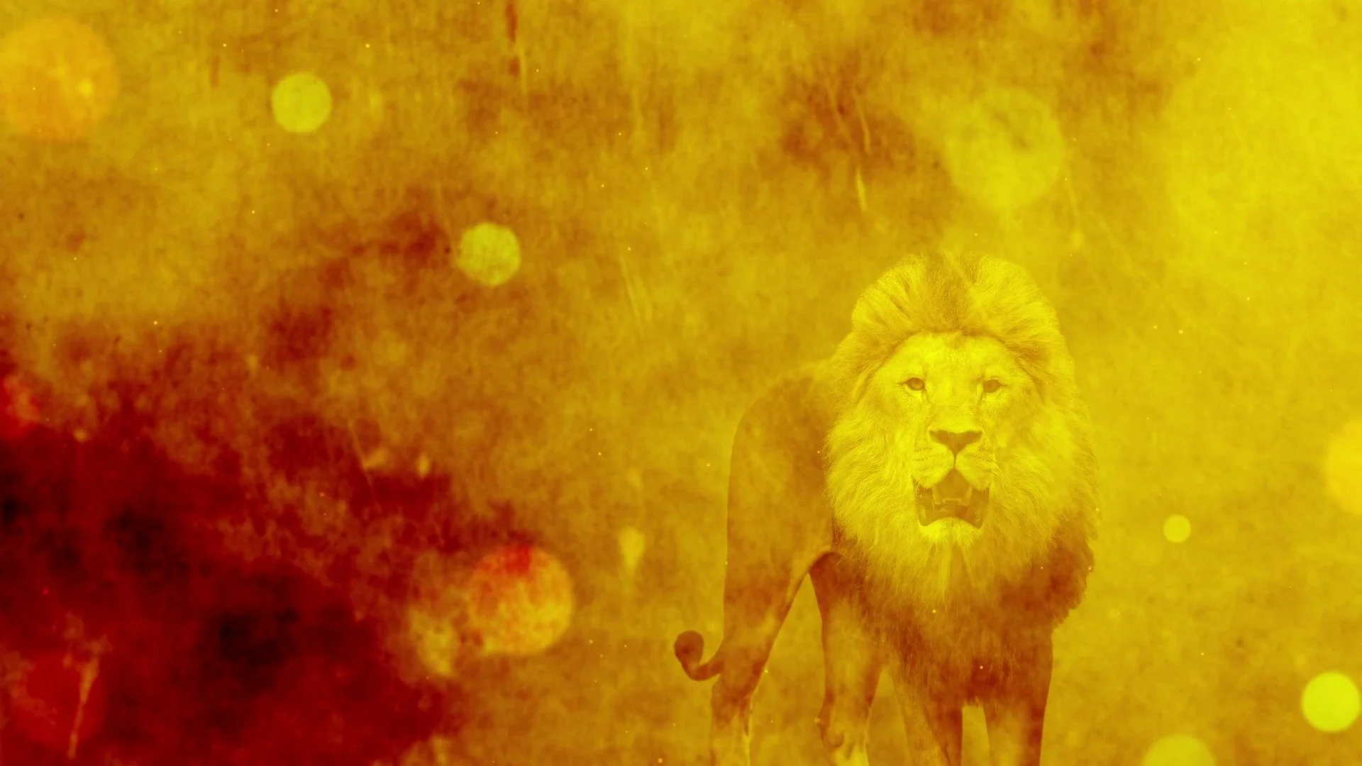 The Lamb receives the reward of His suffering