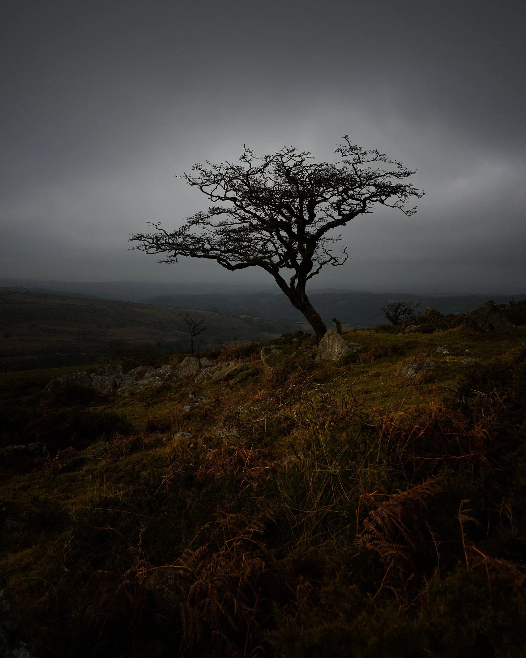 When it all seems hopeless