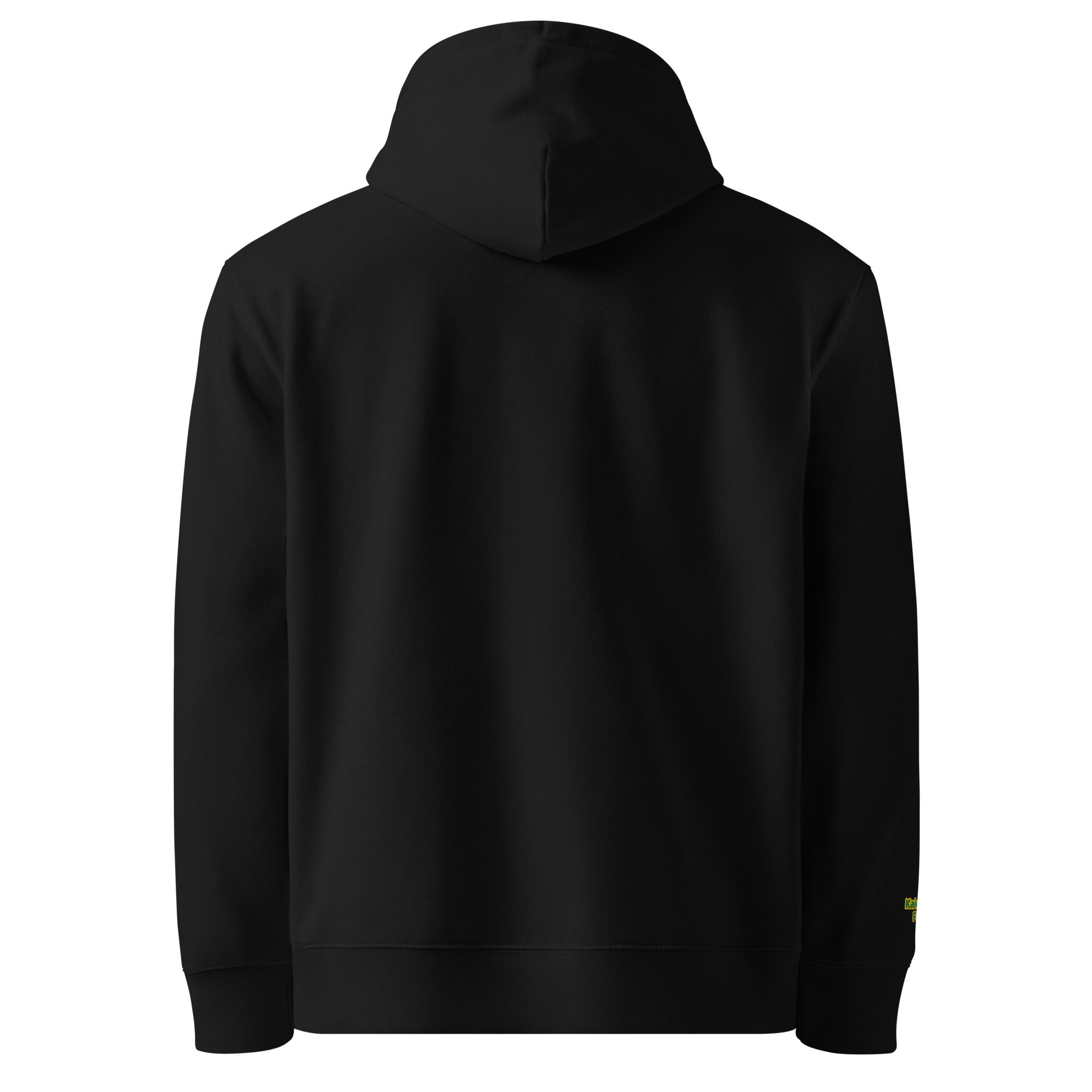 unisex-essential-eco-hoodie-black-back-6904c577c3ad5.jpg