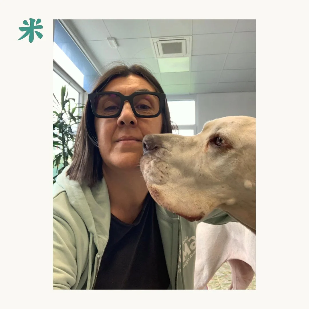 Ciao a tutti! Ho appena concluso un fantastico seminario con AMA - Accademia Massaggio Animale 🐾✨ Un&rsquo;esperienza unica per connettersi ancora di pi&ugrave; con i nostri amici a quattro zampe attraverso il massaggio. Pronti a mettere in pratica 