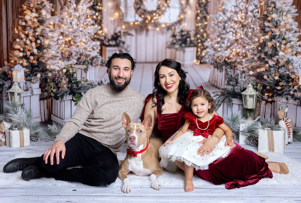 Holiday Mini Sessions 2025 | A success!