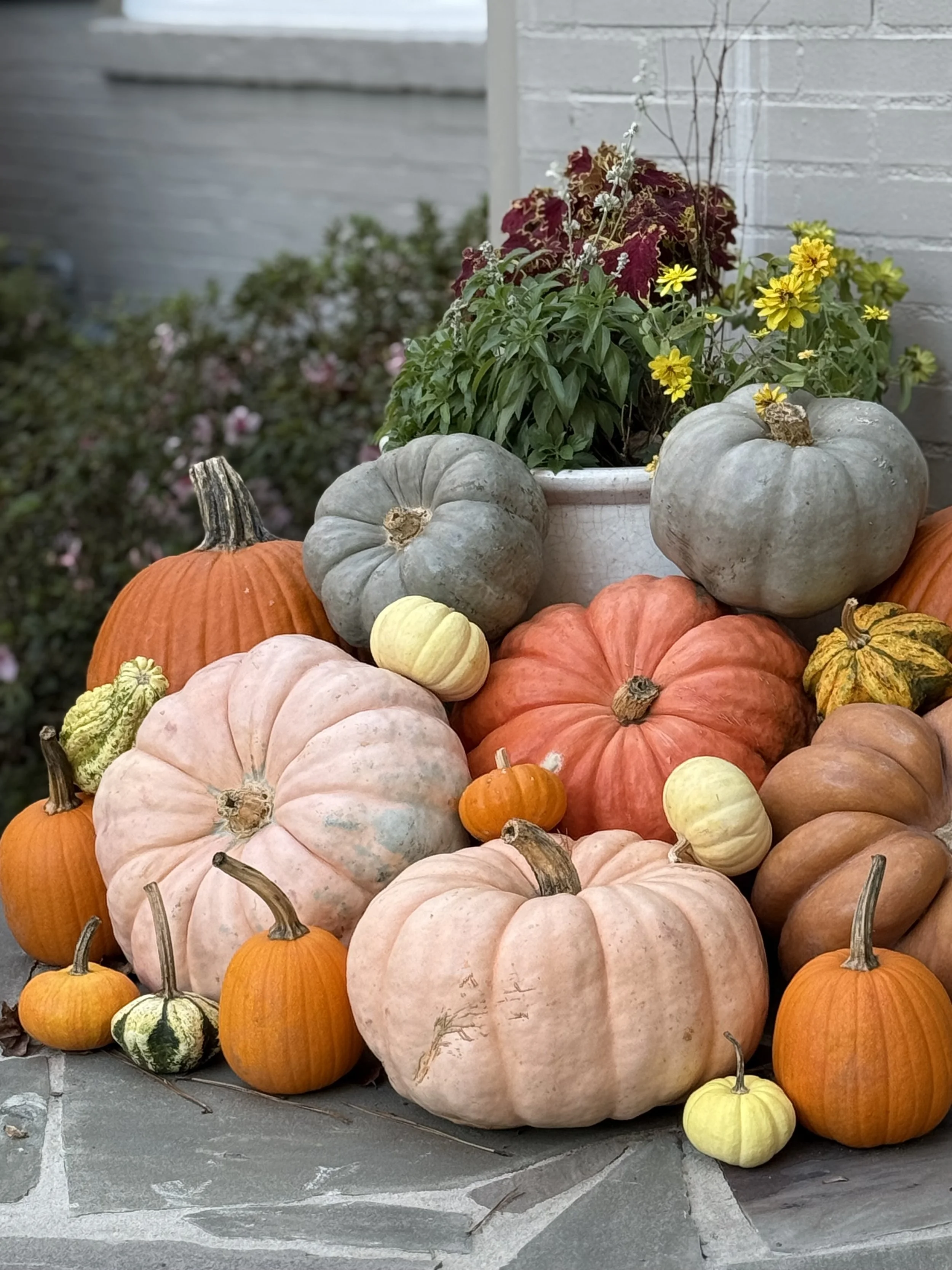 The Gift of Gratitude: 10 Little Ways to Say “Thank You” This Season