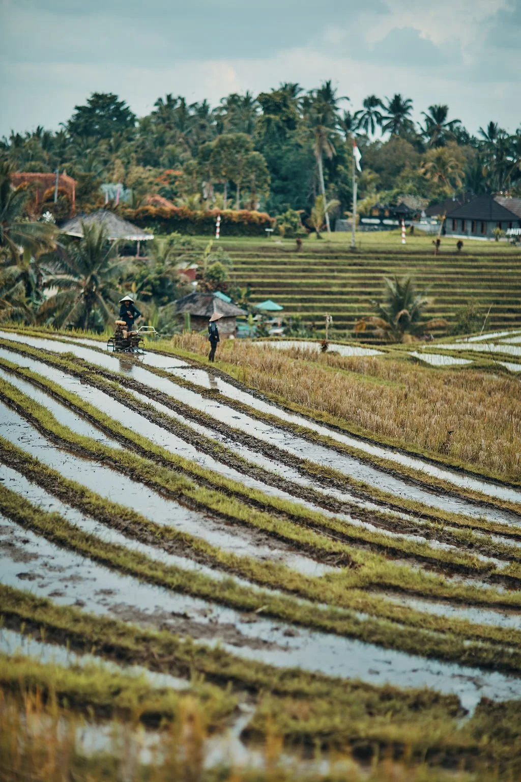 LA_FAMILIA_BALI_586_(_T5D4662).jpg