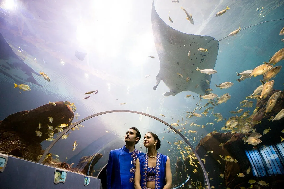 bride+and+groom_aquarium+2.webp