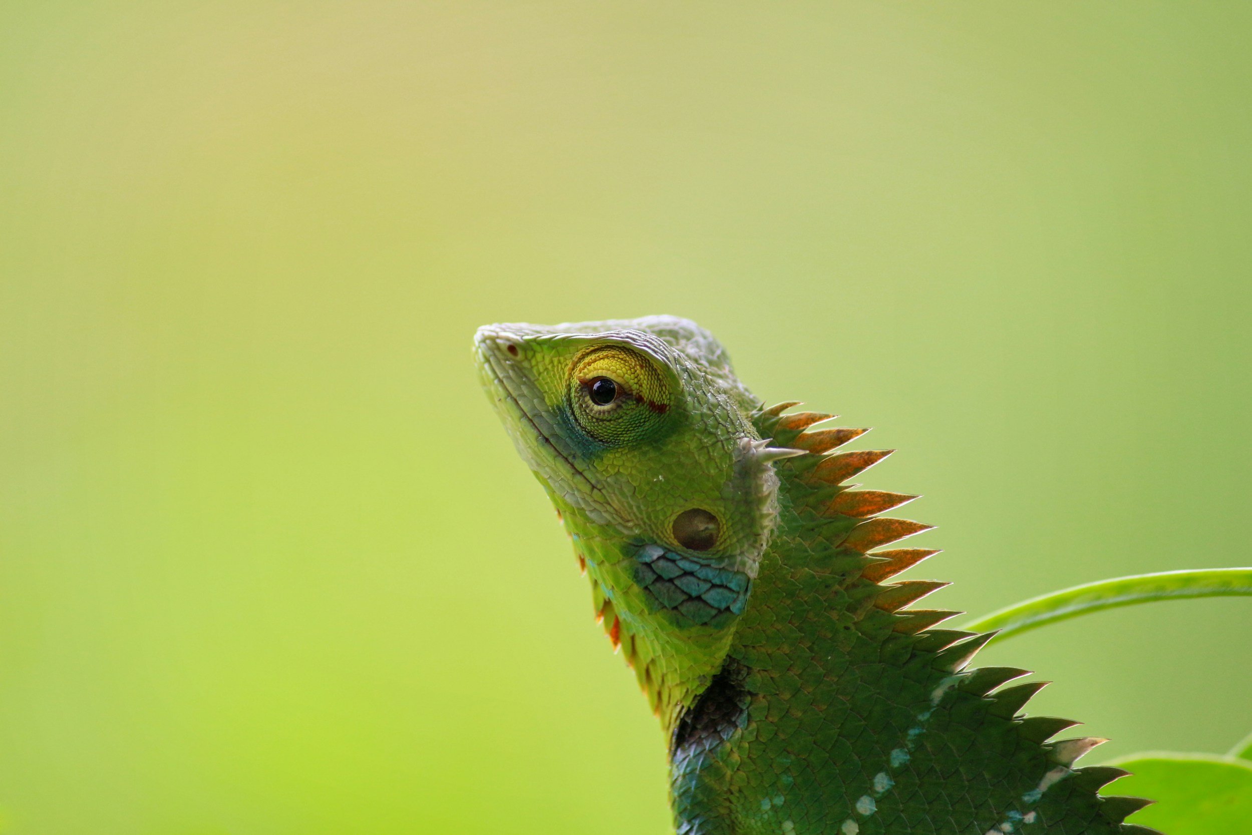 The Adaptability Starter Pack: 4 Skills That Future-Proof Your Early Career Talent