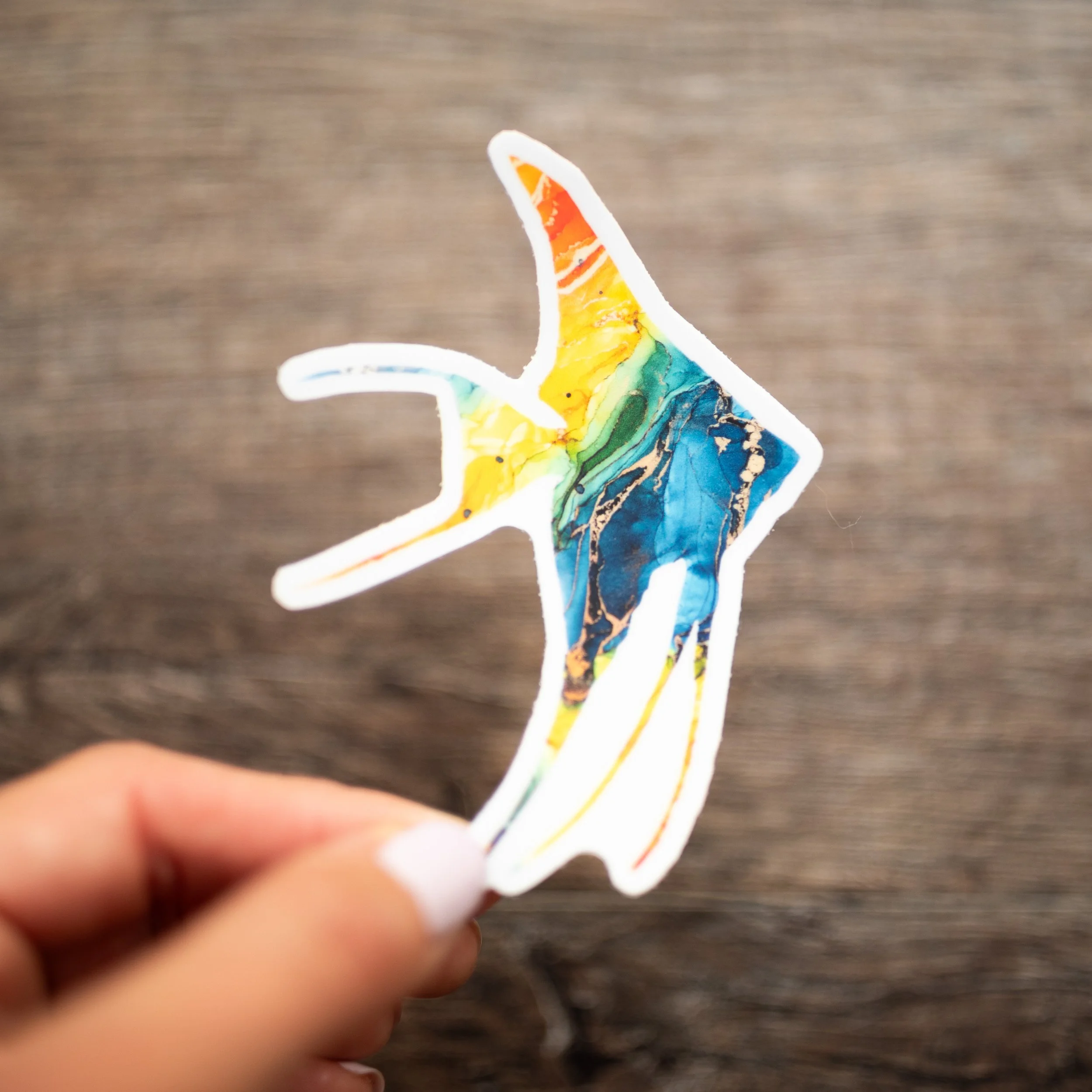 Vinyl Angel Fish Sticker