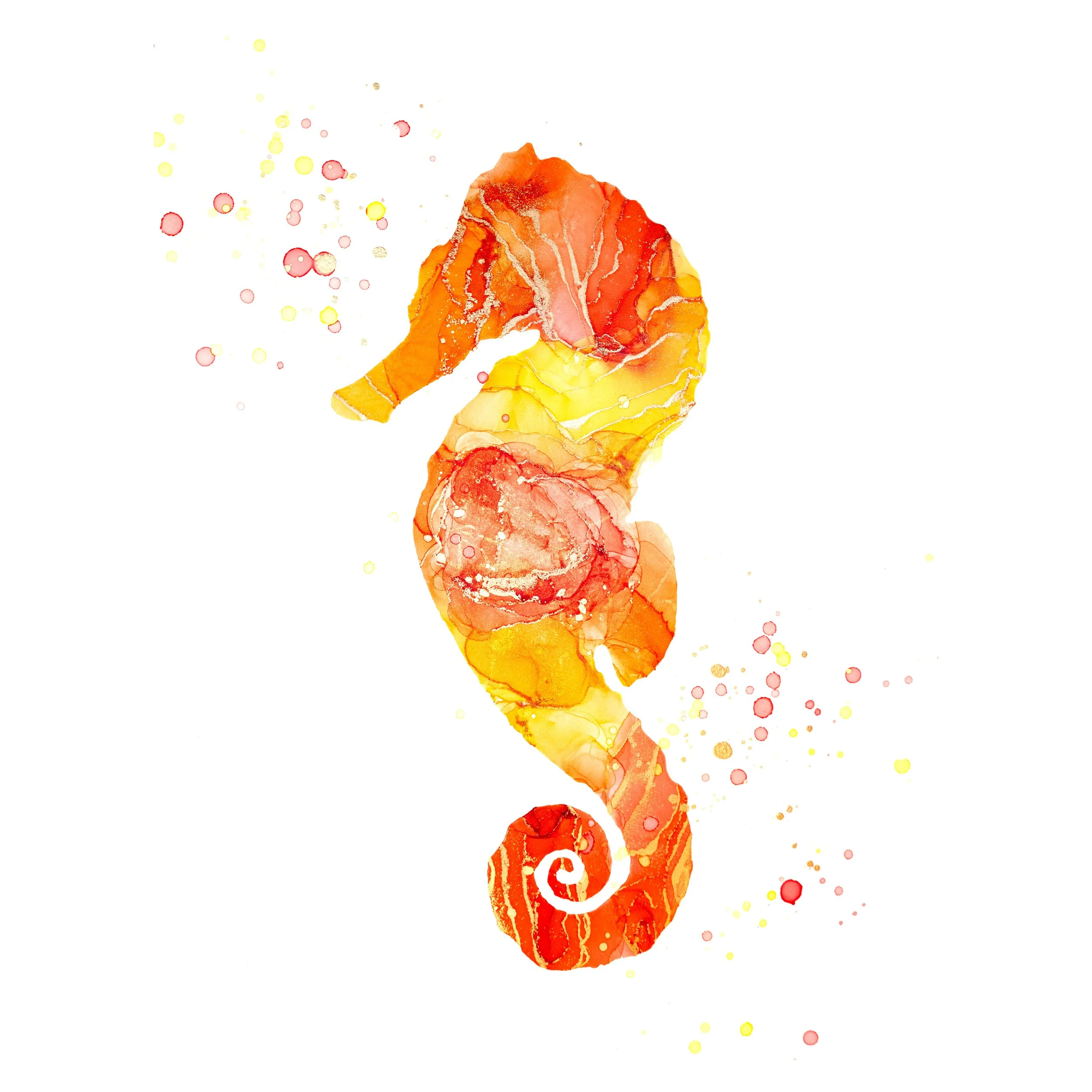 mo'olio for print thumbnail.jpg