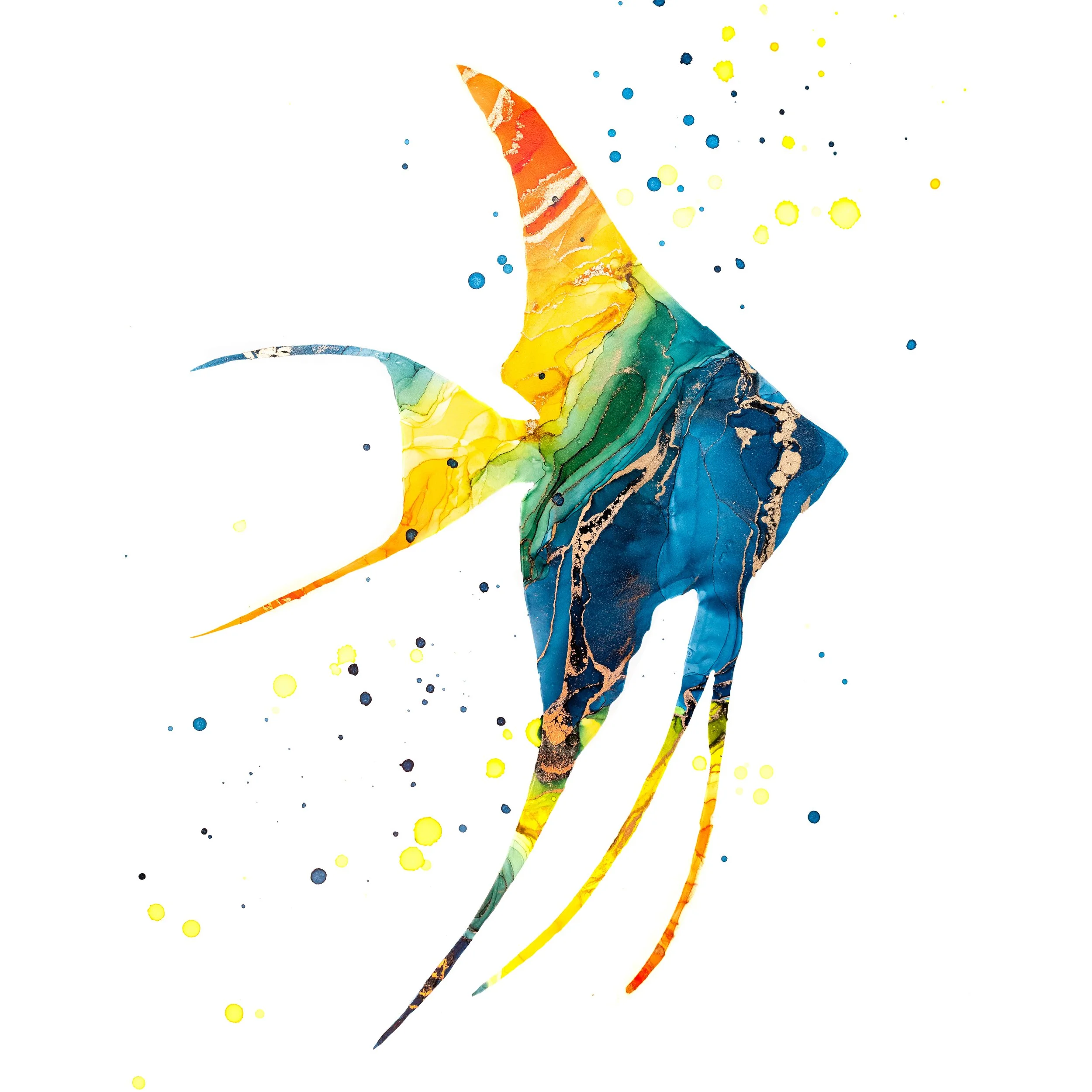 "Ānuenue" Fine Art Print