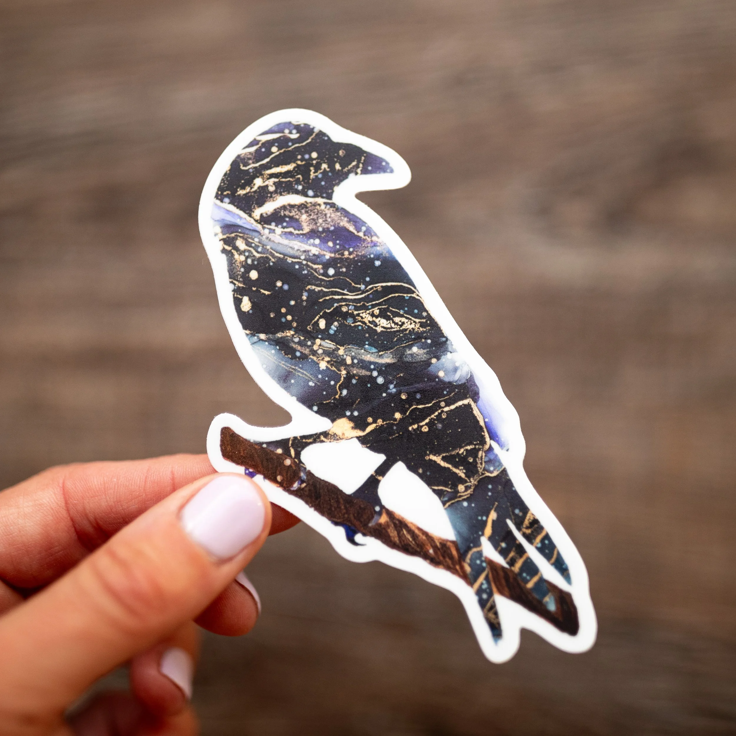 Vinyl Raven Sticker