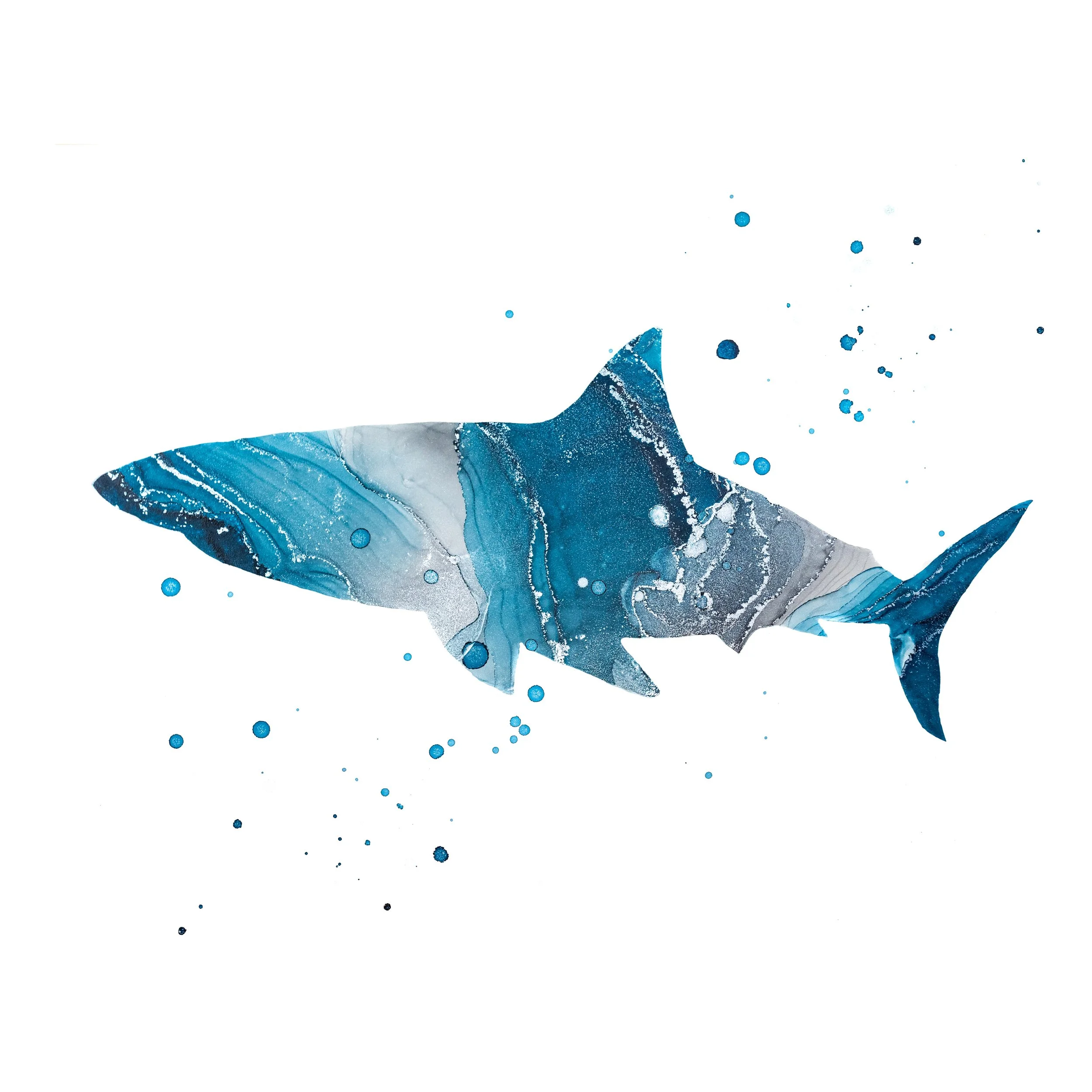 "Māno" Fine Art Print