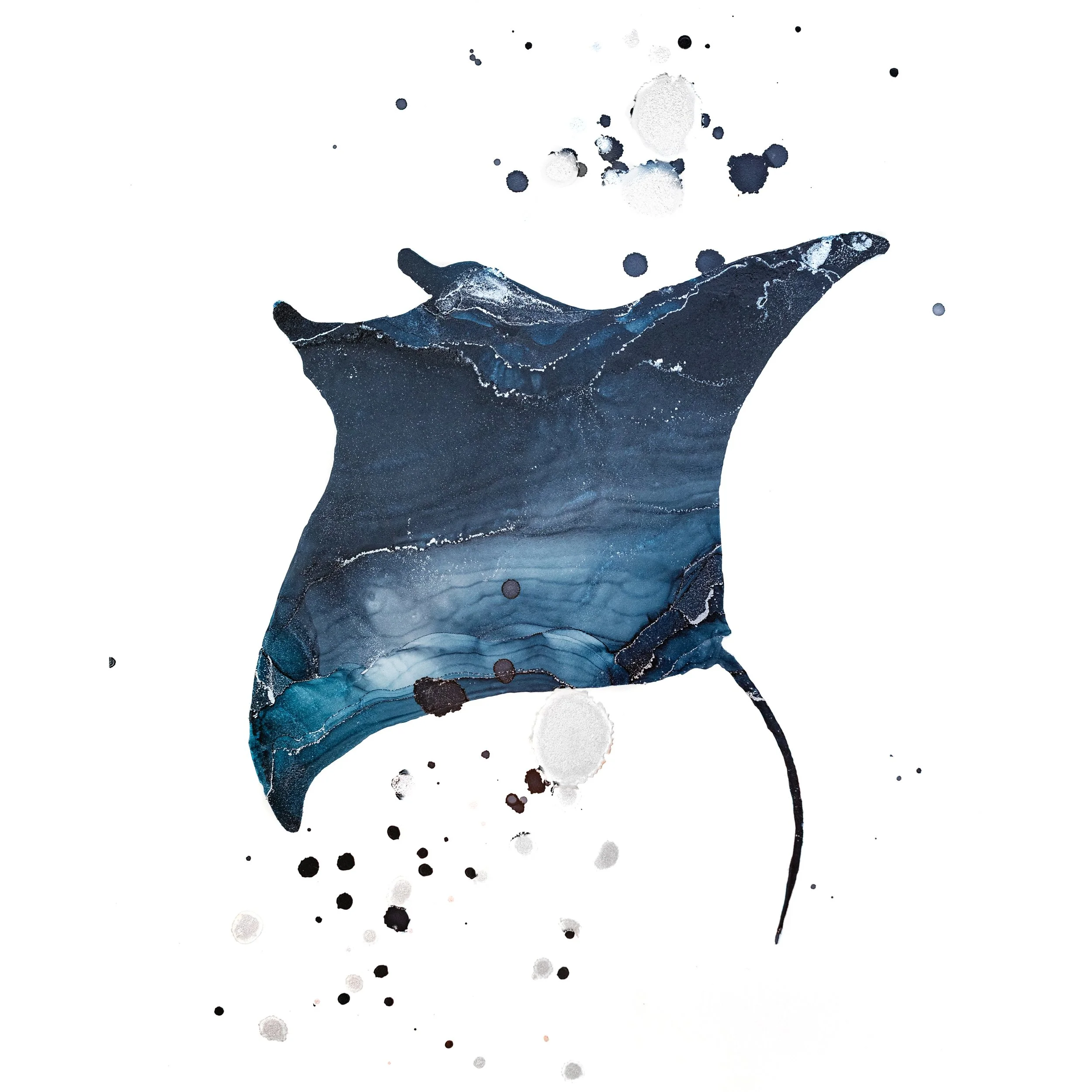 "Hāhālua" Fine Art Print