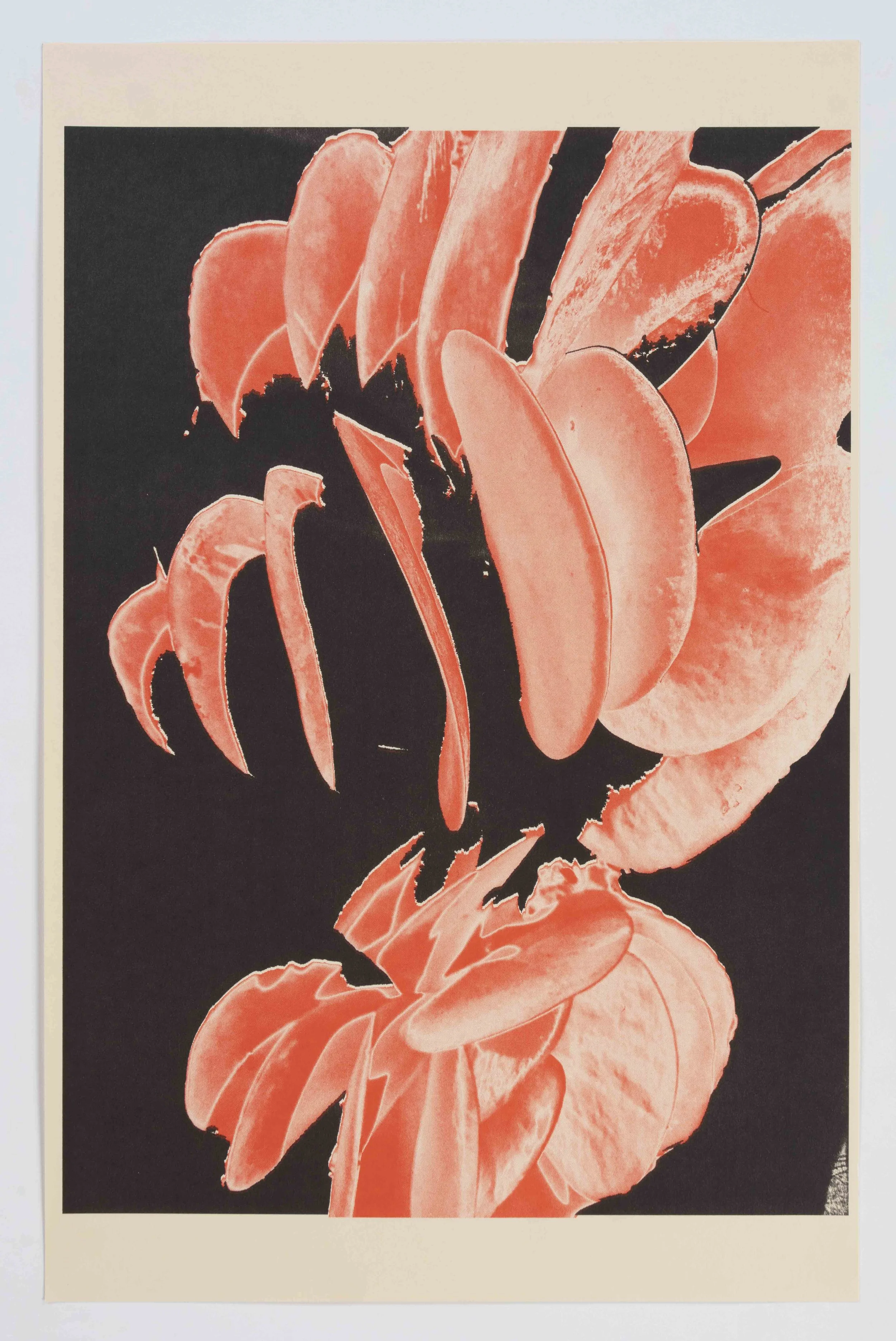 Succulent of Silverlake (Blood Garden)