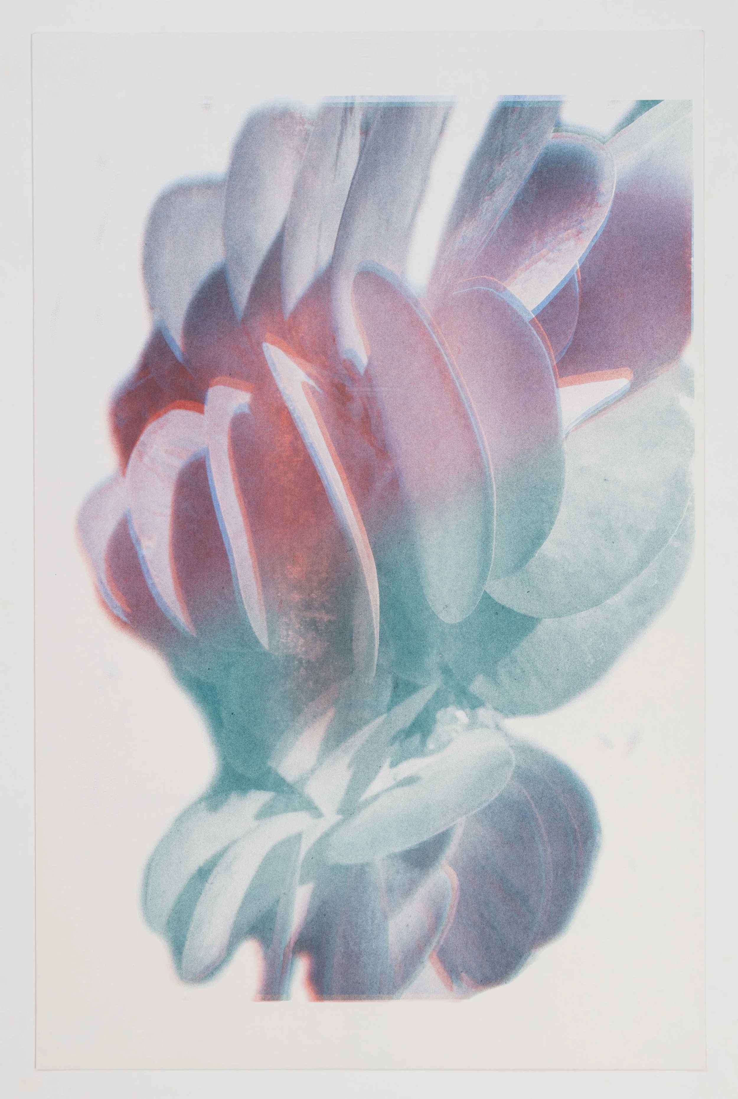 Succulent of Silverlake (RGB)