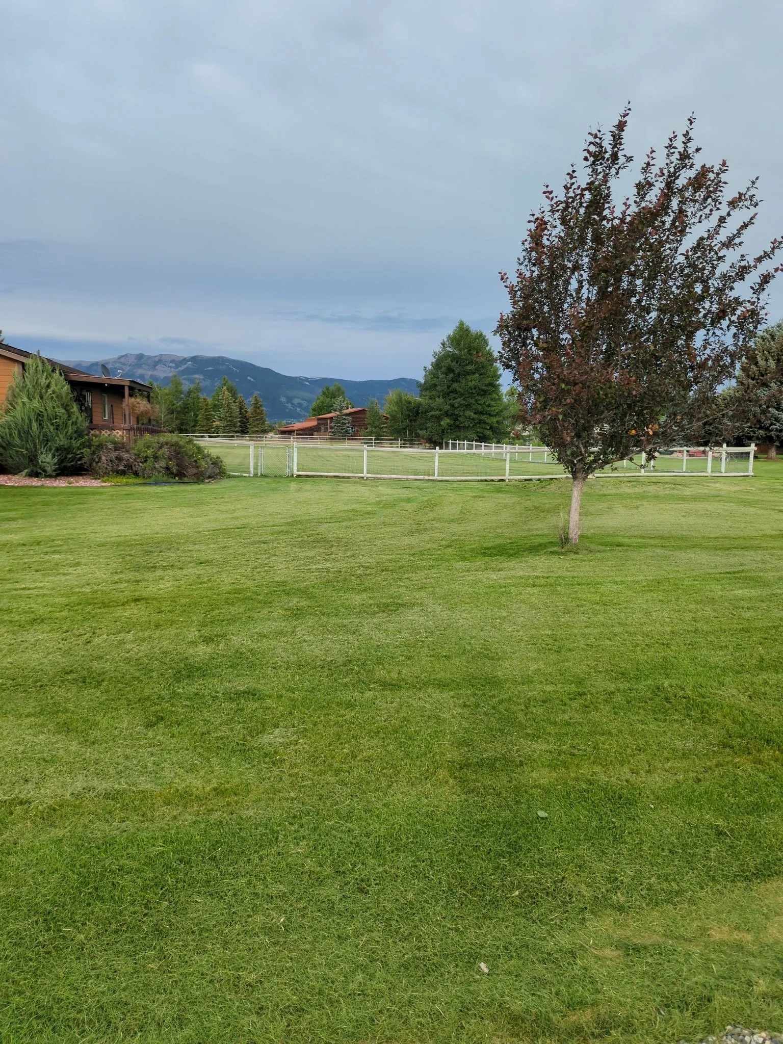 Lush lawn with sprinkler system and flower beds in a Belgrade front yard landscaping project.