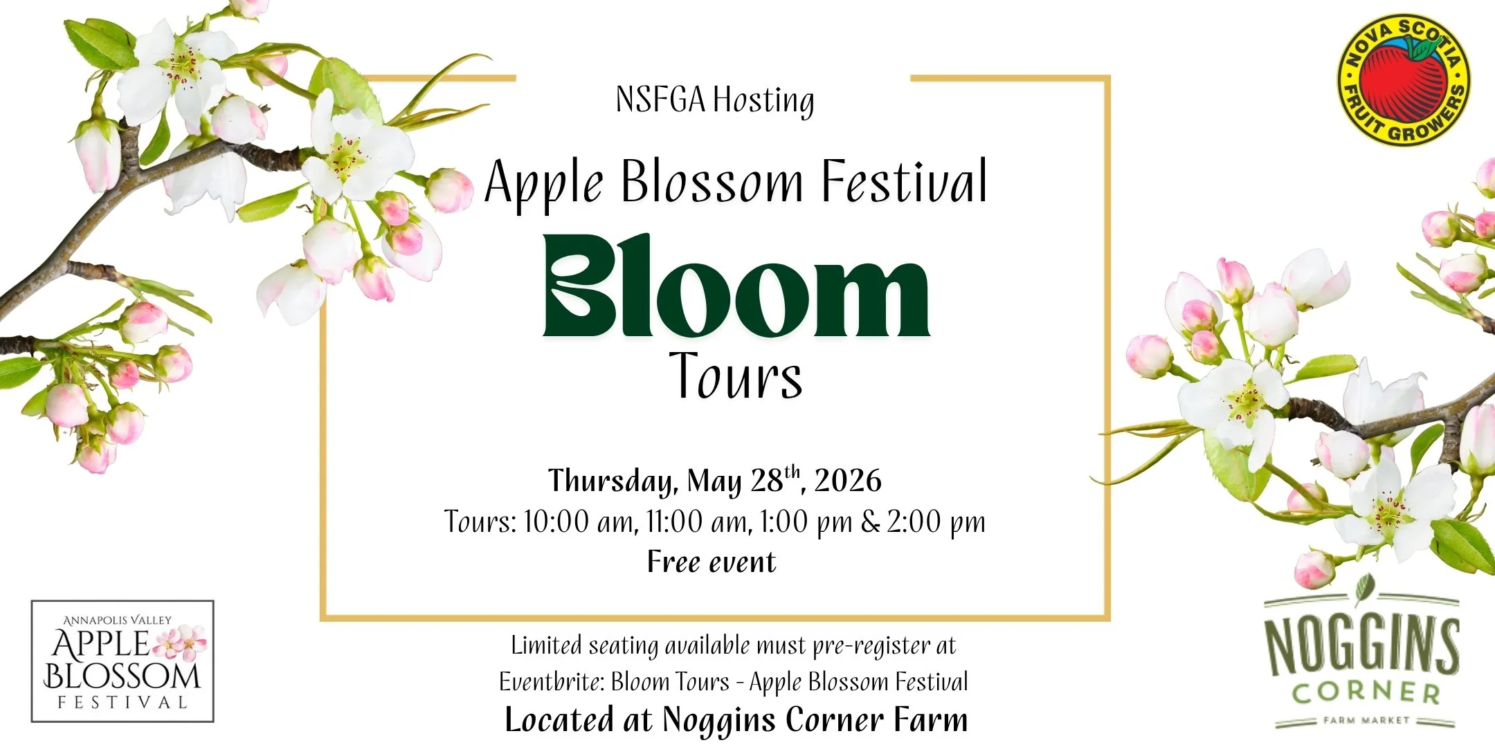 Bloom Tours 