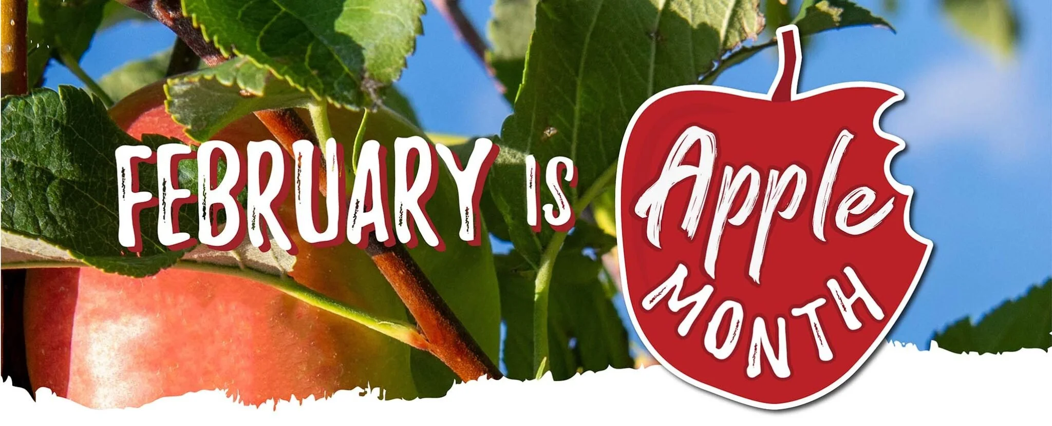 A close-up of an apple hanging on an apple tree with green leaves and a bright blue sky background. Overlaid is text that reads, 'February is Apple Month,' with 'Apple Month' inside a red apple-shaped graphic.