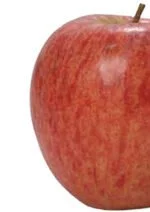 Red apple on a white background