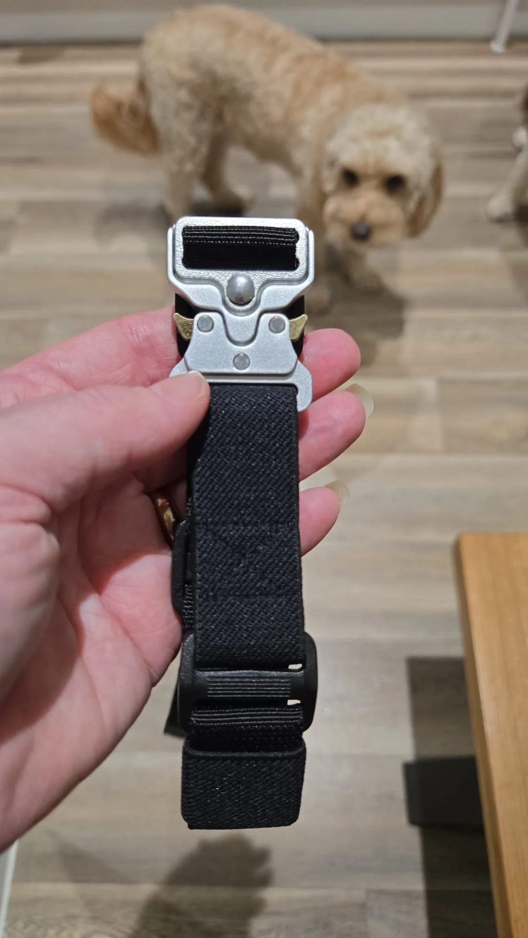 WhatsApp Image 2025-12-09 at 18.23.24.jpeg