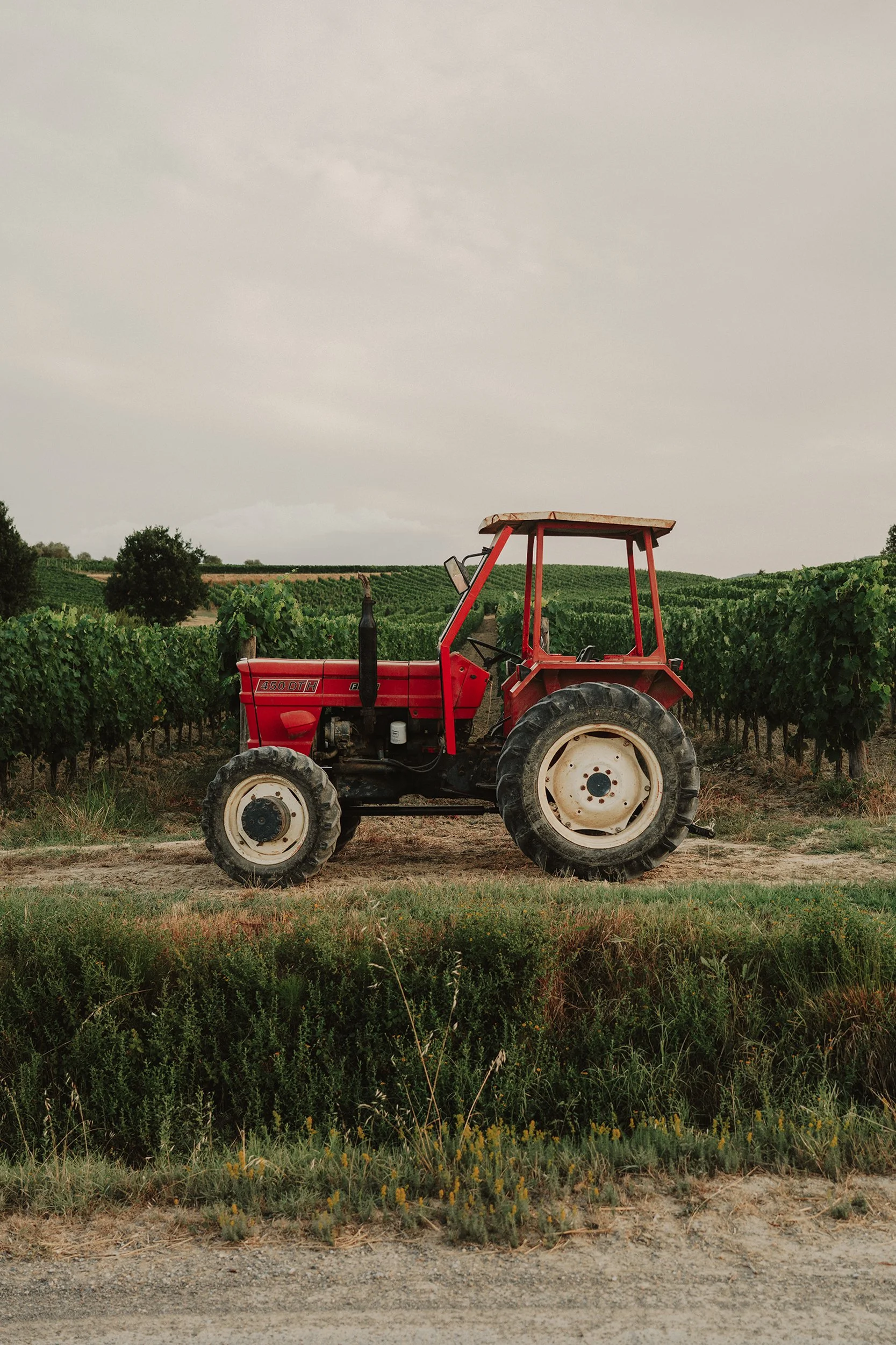 A red tractor parked in a vineyard with rows of green grapevines in the background and a cloudy sky above.