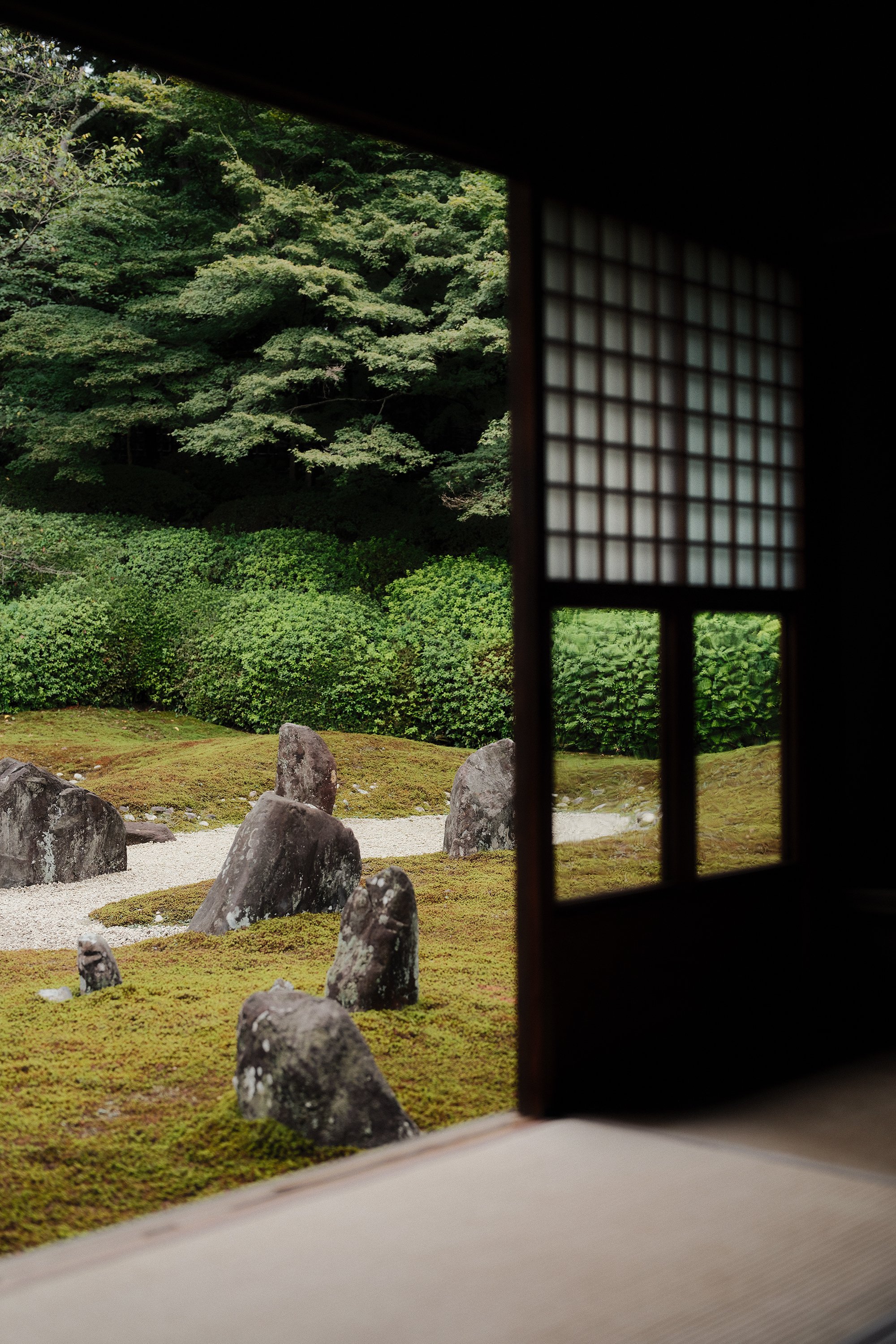kyoto7.jpg