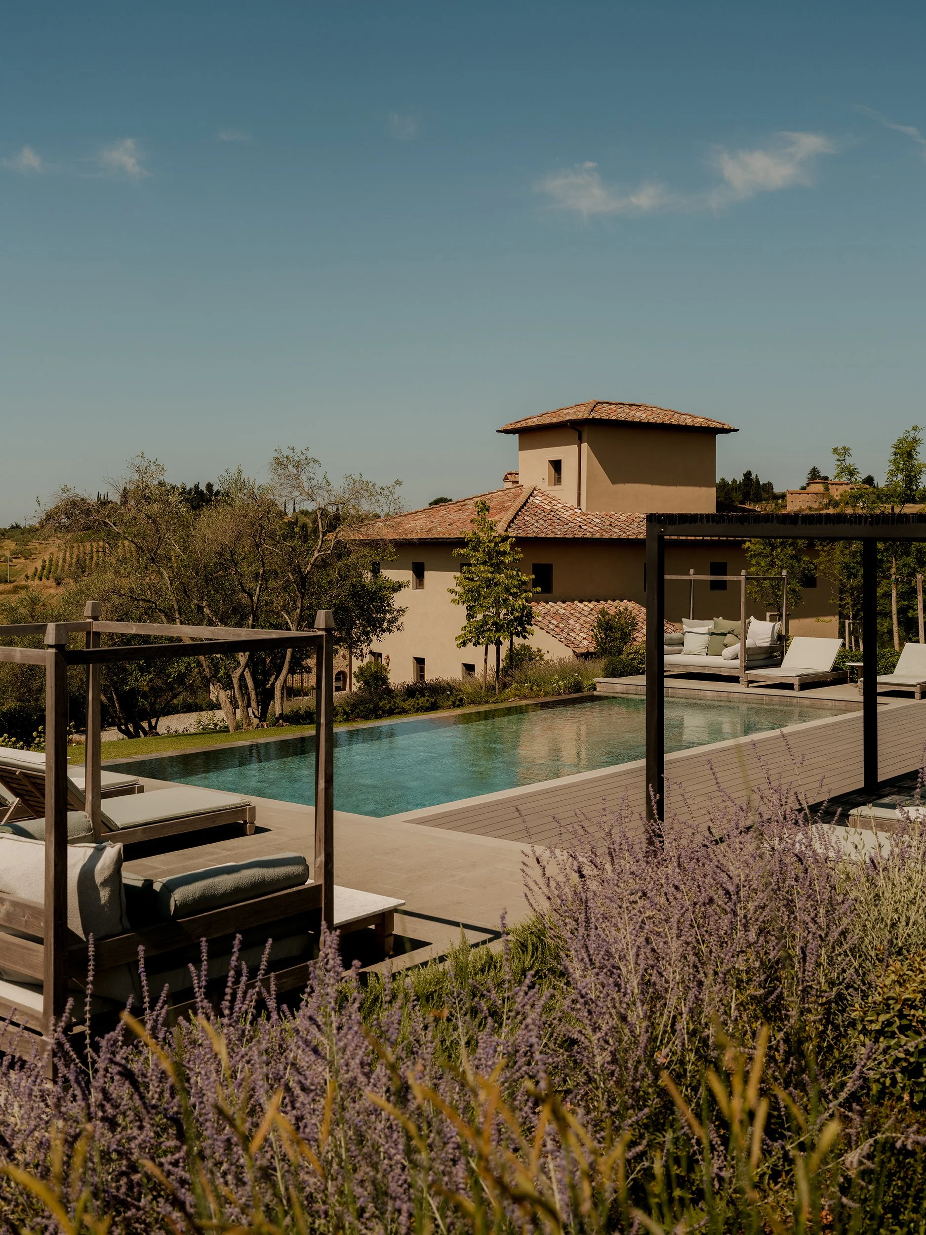 A luxurious backyard with a swimming pool, outdoor lounge chairs, and a modern house with a tile roof surrounded by greenery and purple flowering plants.