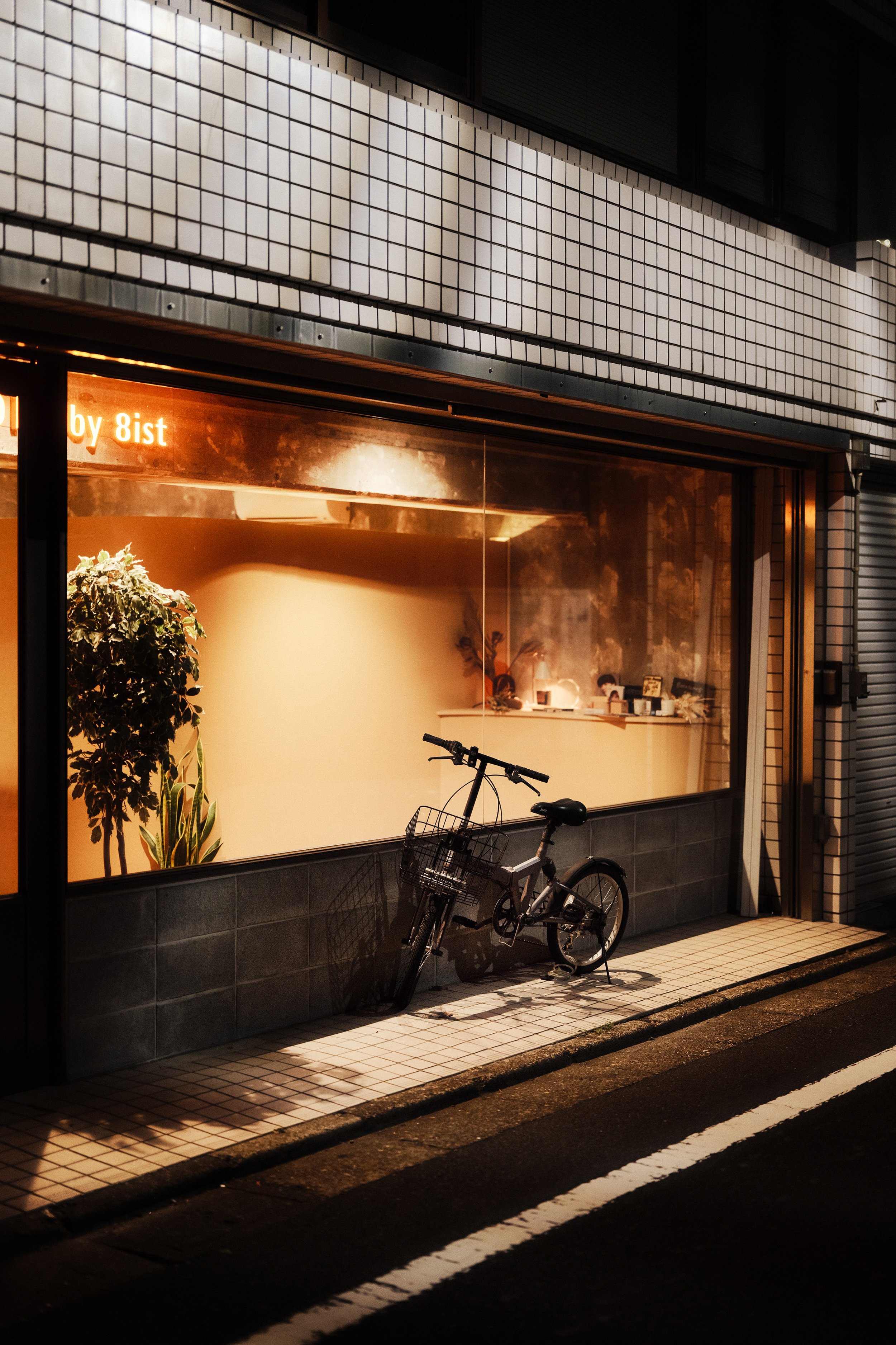 kyoto9.jpg