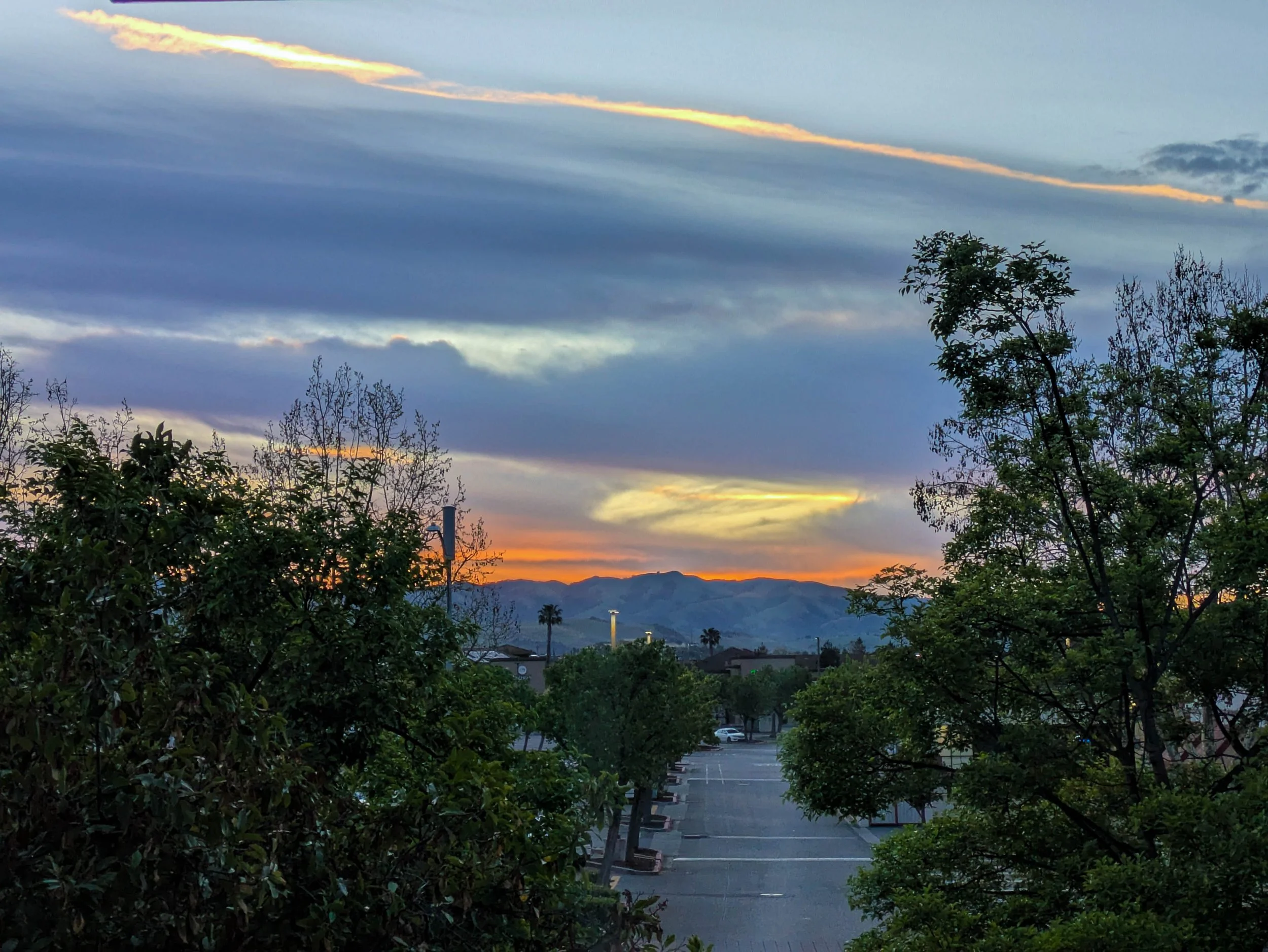 PXL_20250411_133837697.RAW-01.COVER.jpg