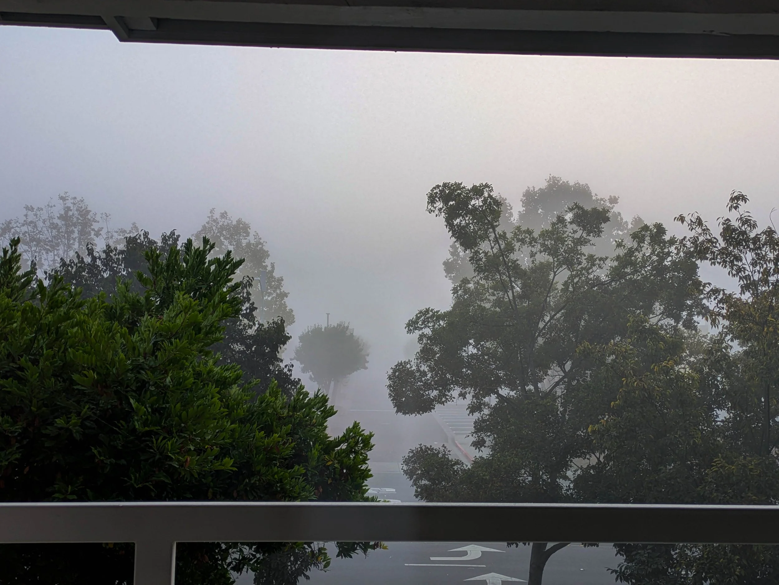 PXL_20251108_144930338.RAW-01.COVER.jpg