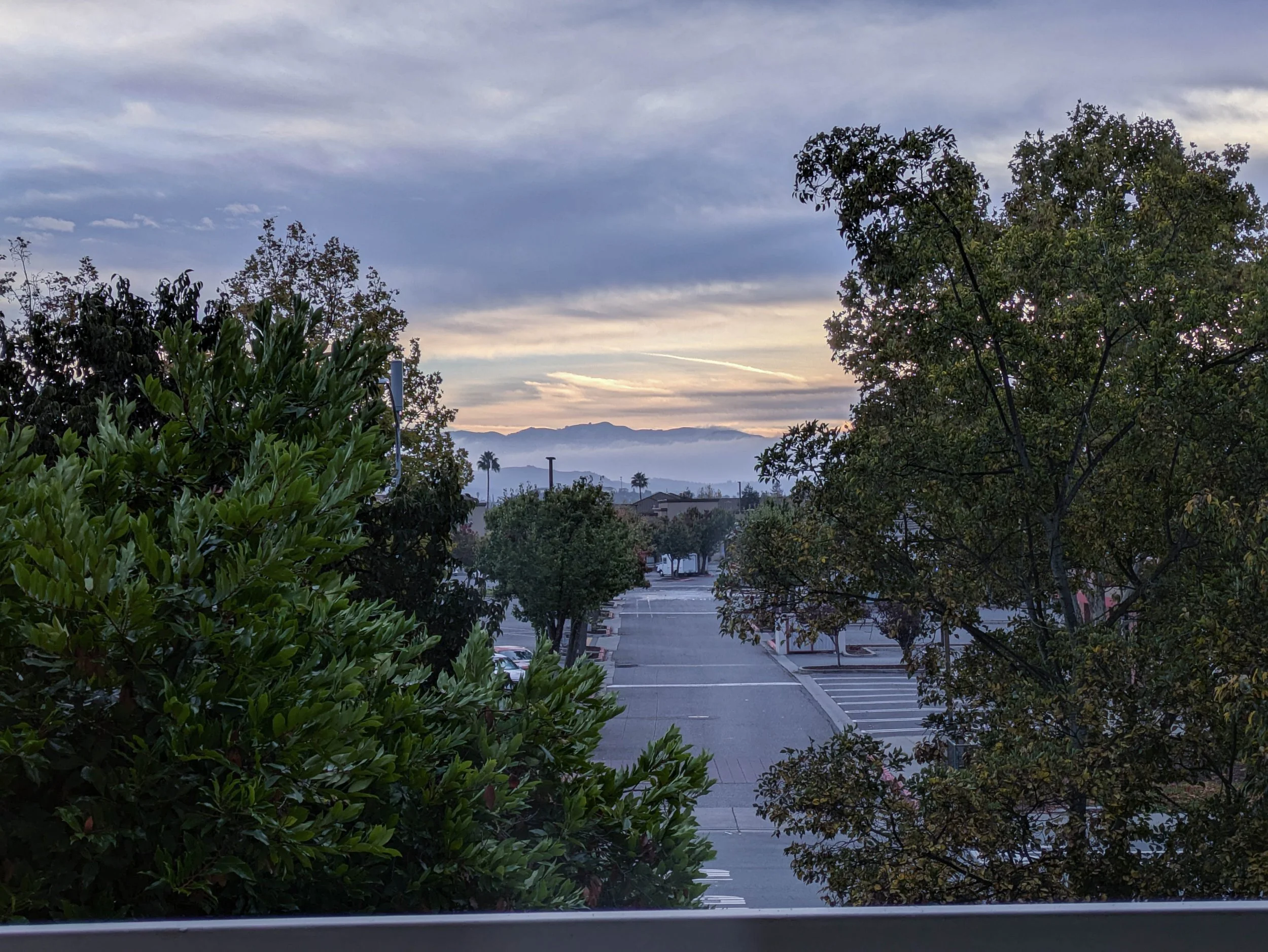 PXL_20251115_151226462.RAW-01.COVER.jpg